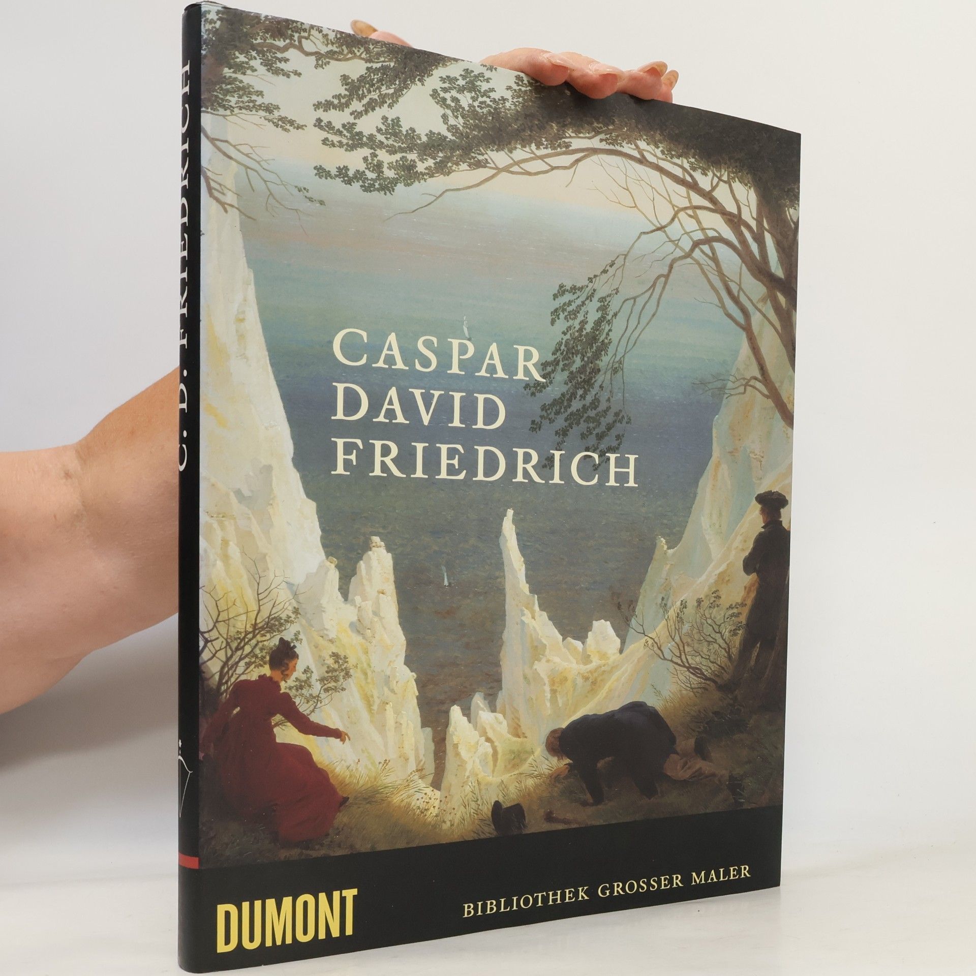 Wieland Schmied Caspar David Friedrich