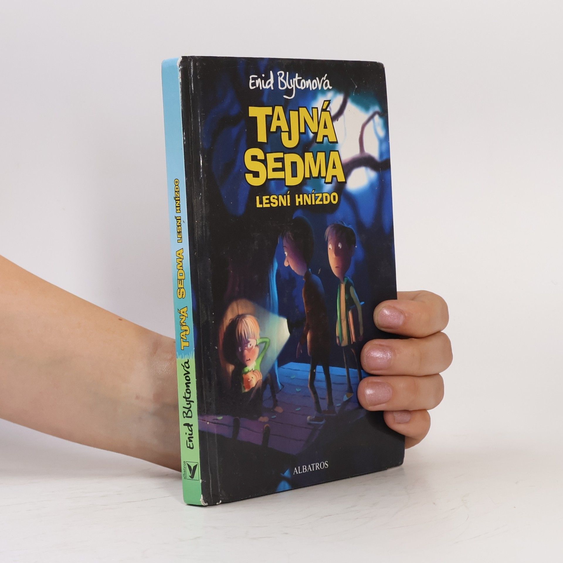 Enid Blyton Lesní hnízdo