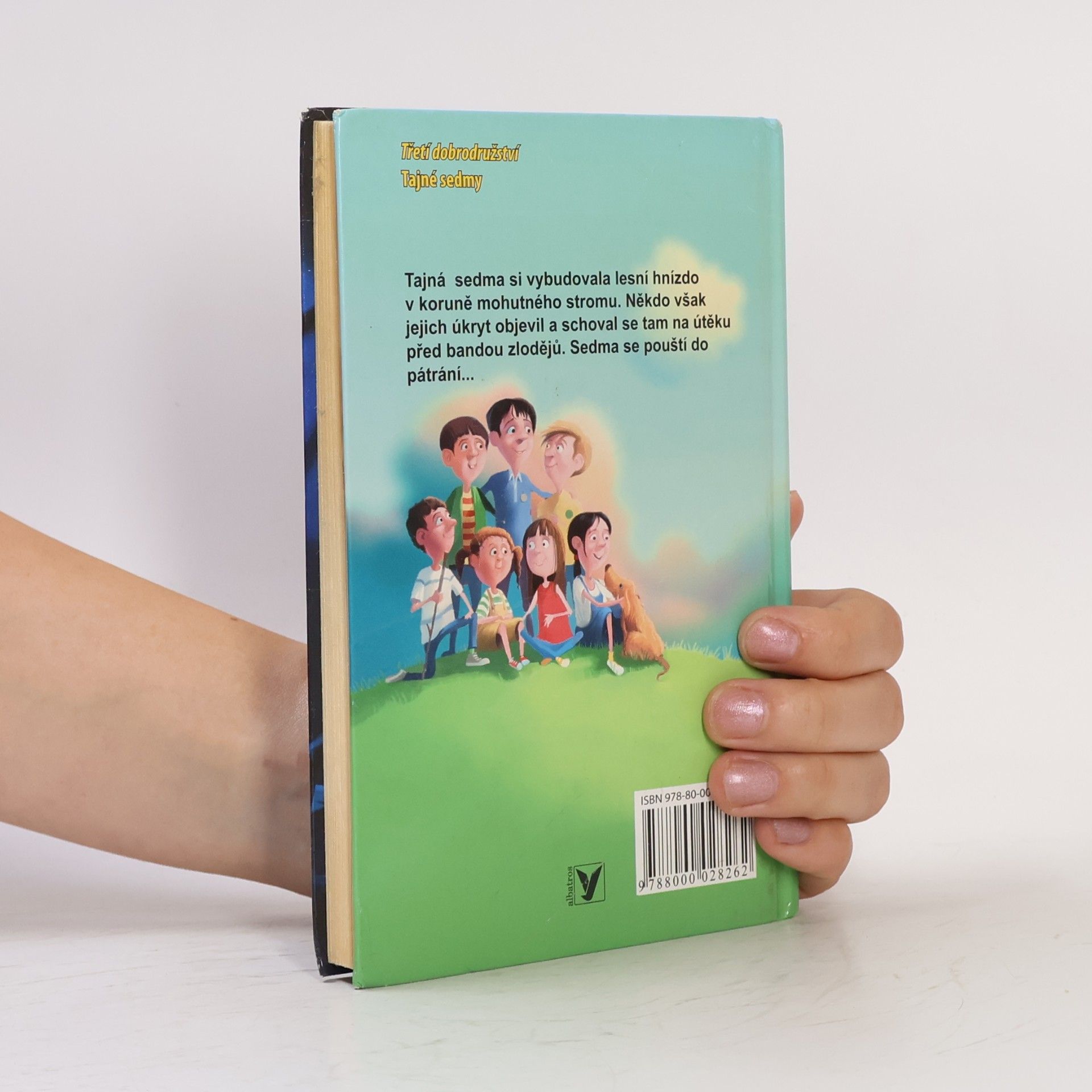 Enid Blyton Lesní hnízdo