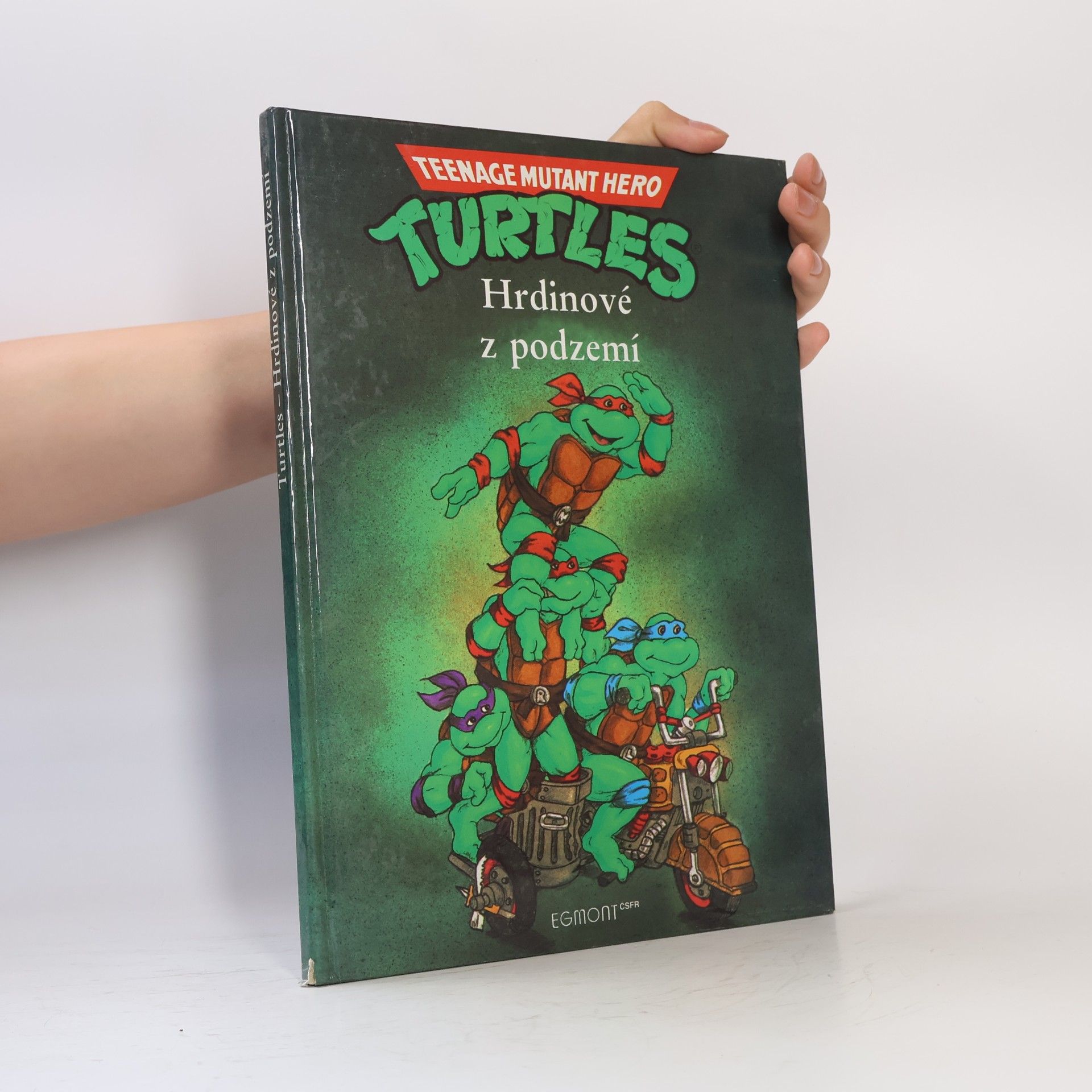 Maureen Spurgeon Teenage Mutant Ninja Turtles. Hrdinové z podzemí