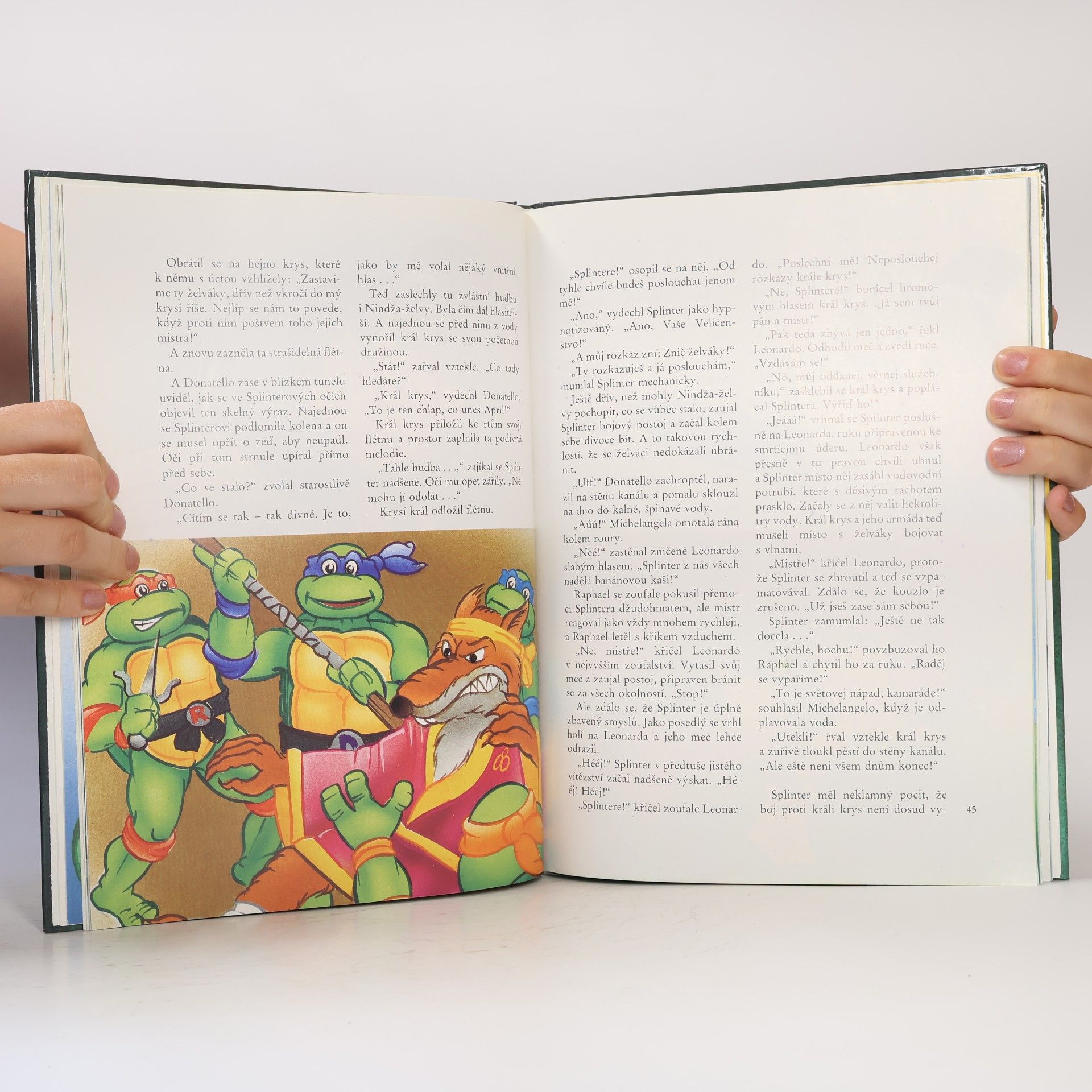 Maureen Spurgeon Teenage Mutant Ninja Turtles. Hrdinové z podzemí