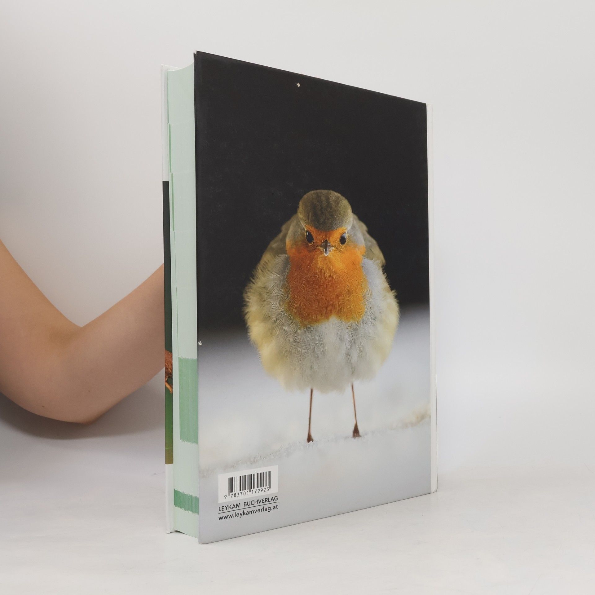 Ernst Albegger Avifauna Steiermark