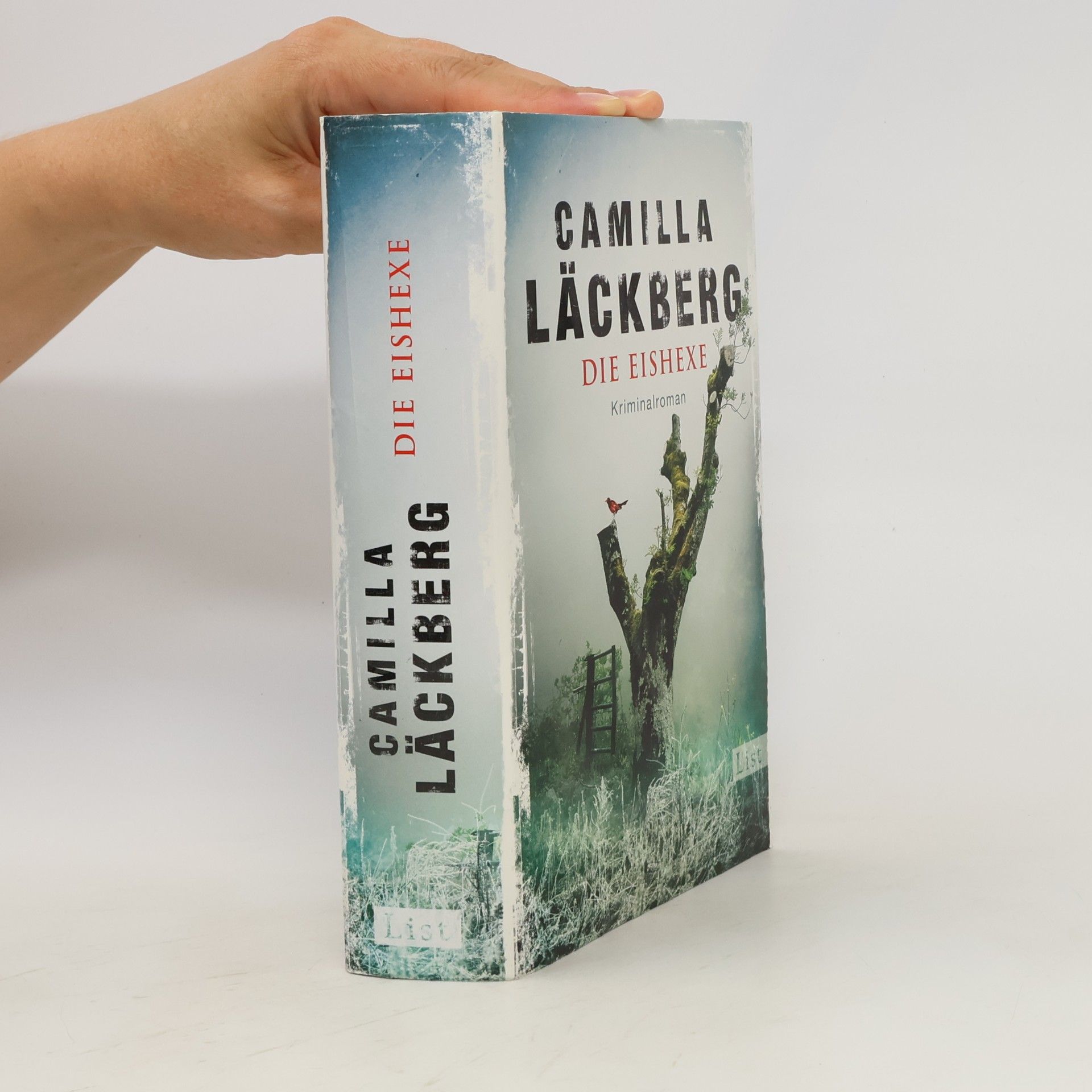Camilla Läckberg Die Eishexe