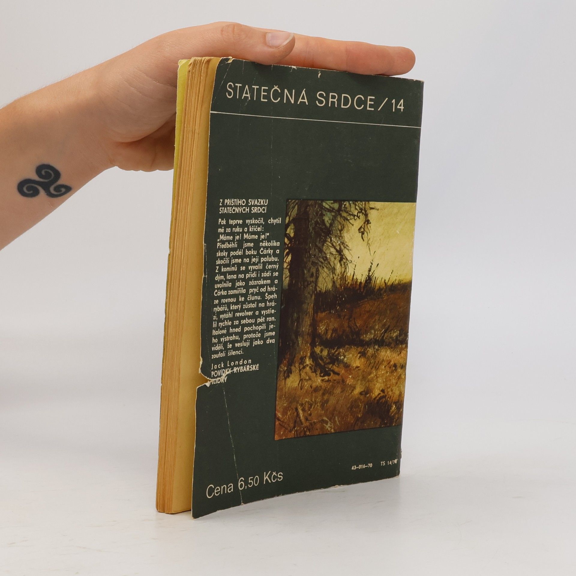 Eduard Fiker Statečná srdce/14. Tříoký jezdec
