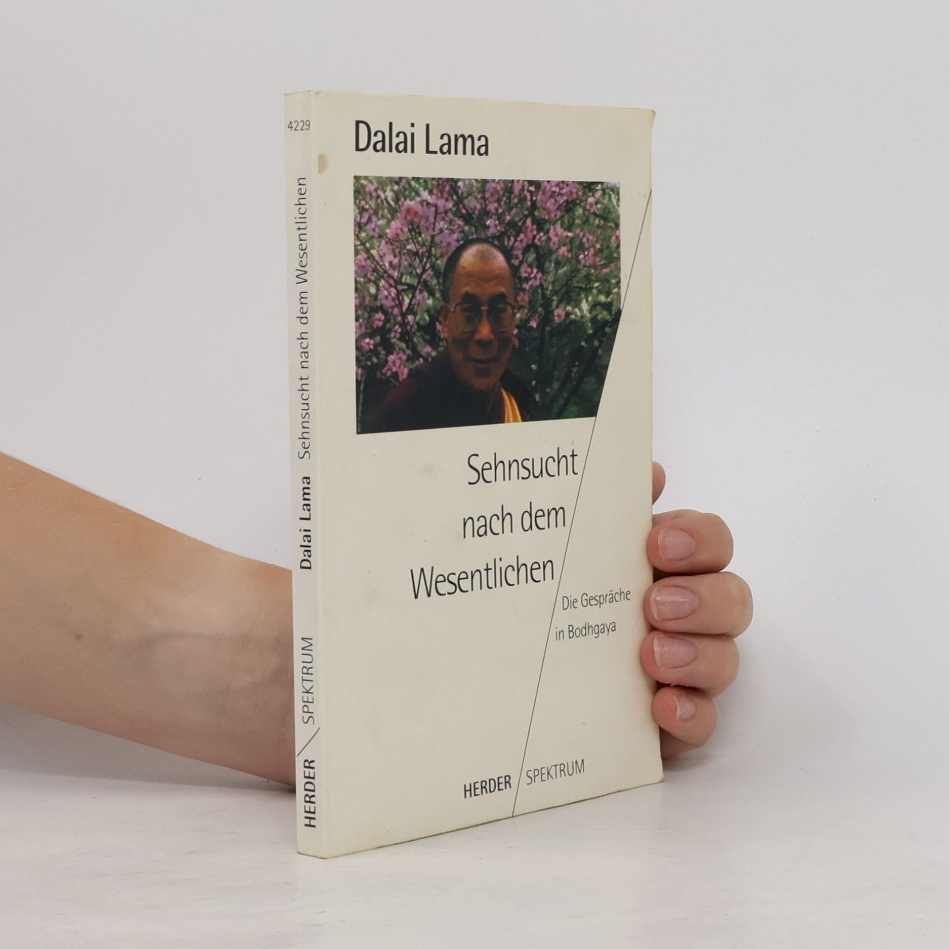 Dalai Lama XIV Bstan-ʾdzin-rgya-mtsho Sehnsucht nach dem Wesentlichen