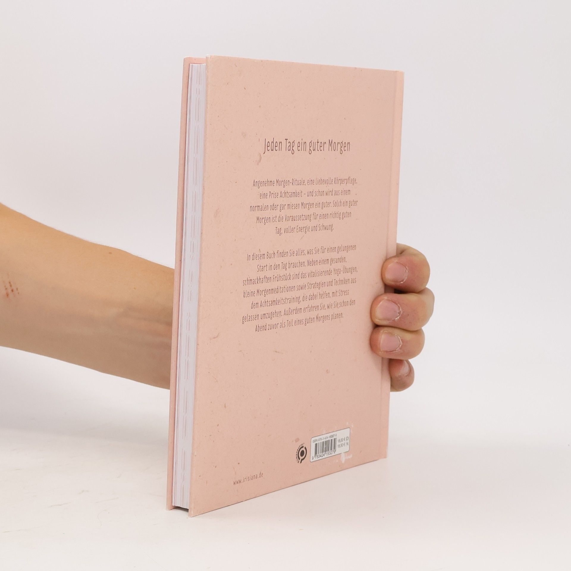 Inga Heckmann Das kleine Buch vom guten Morgen