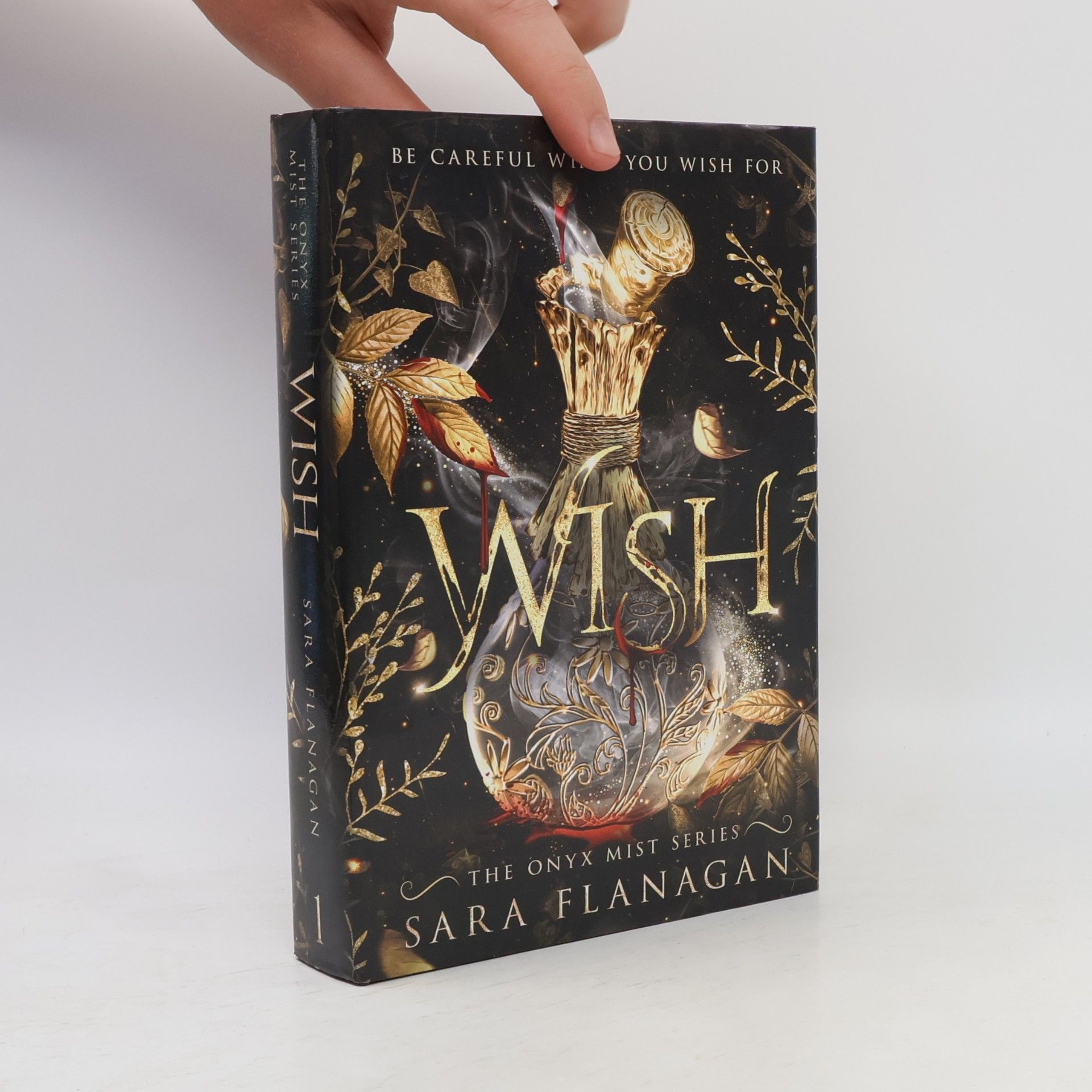 Sara Flanagan Wish 1