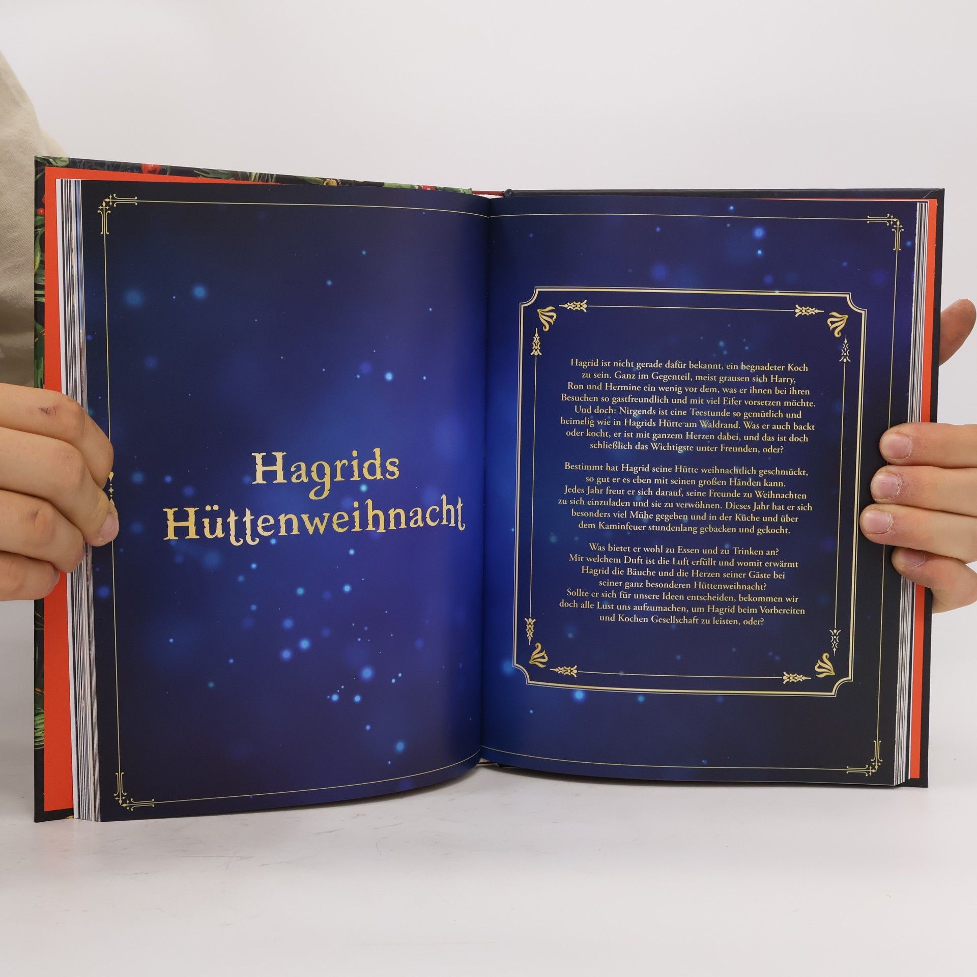 Petra Milde Zauberhafte Weihnachten wie bei Harry Potter