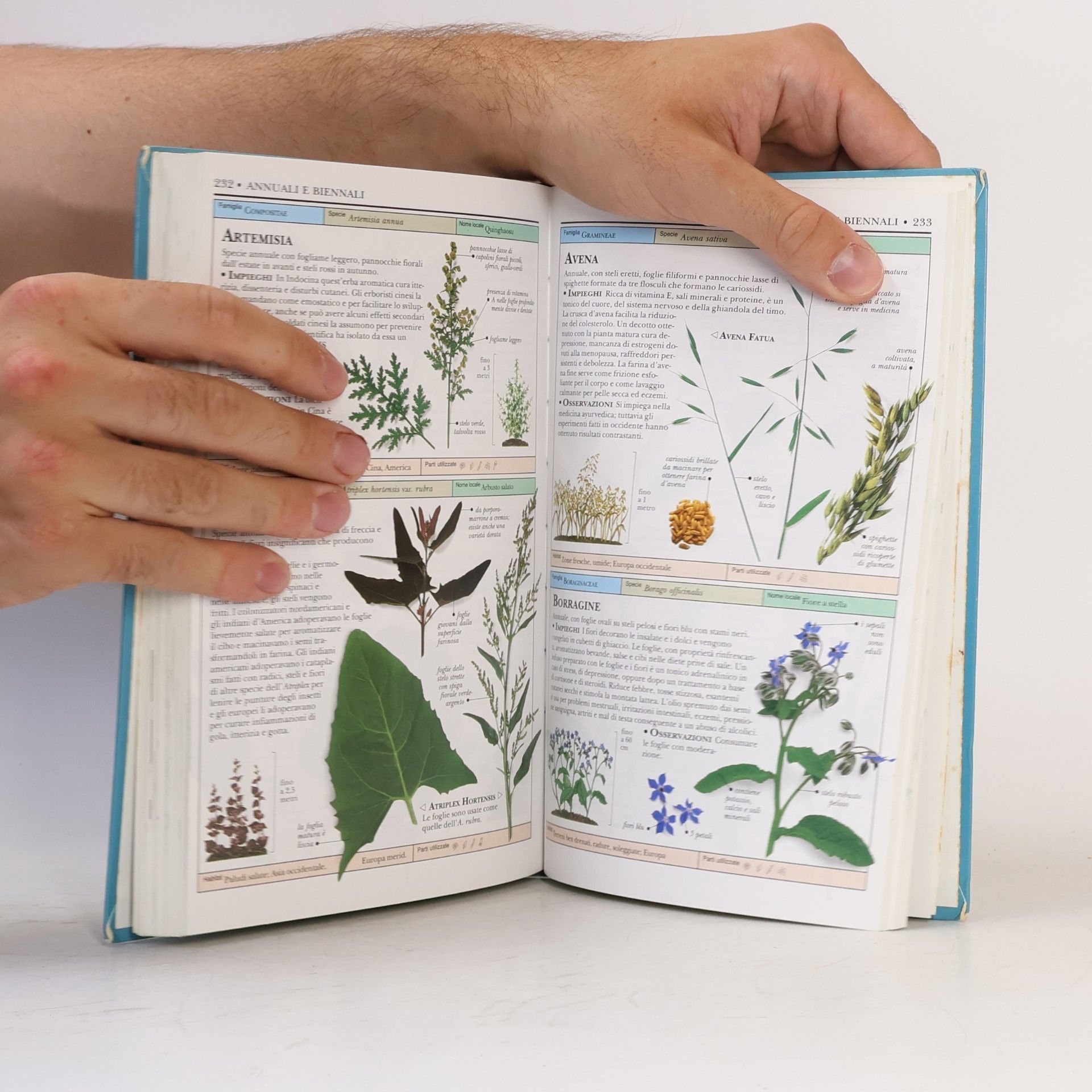 Various authors La biblioteca della natura 4. Erbe