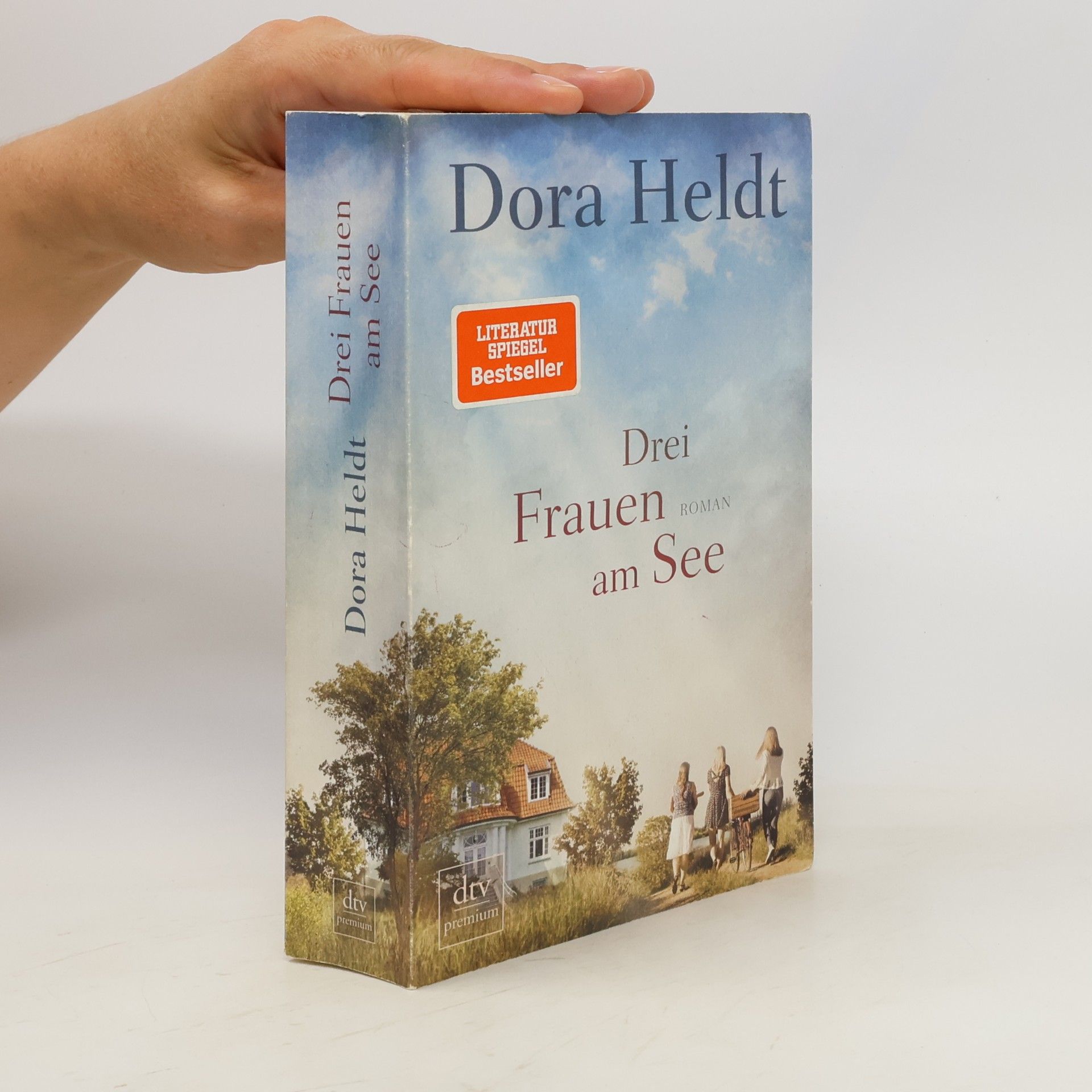 Dora Heldt Drei Frauen am See