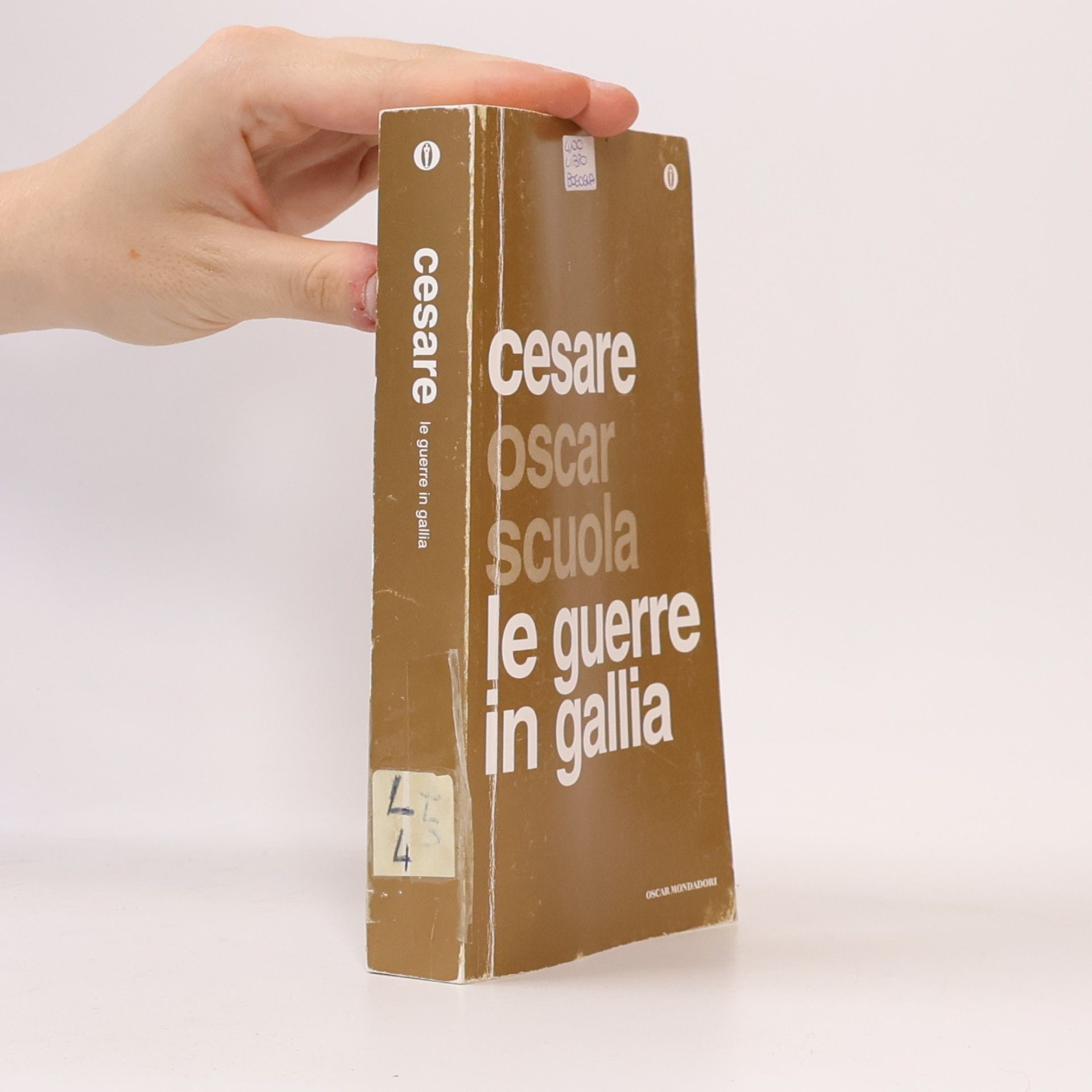 Gaio Giulio Cesare Oscar Scuola: Le guerre in Gallia