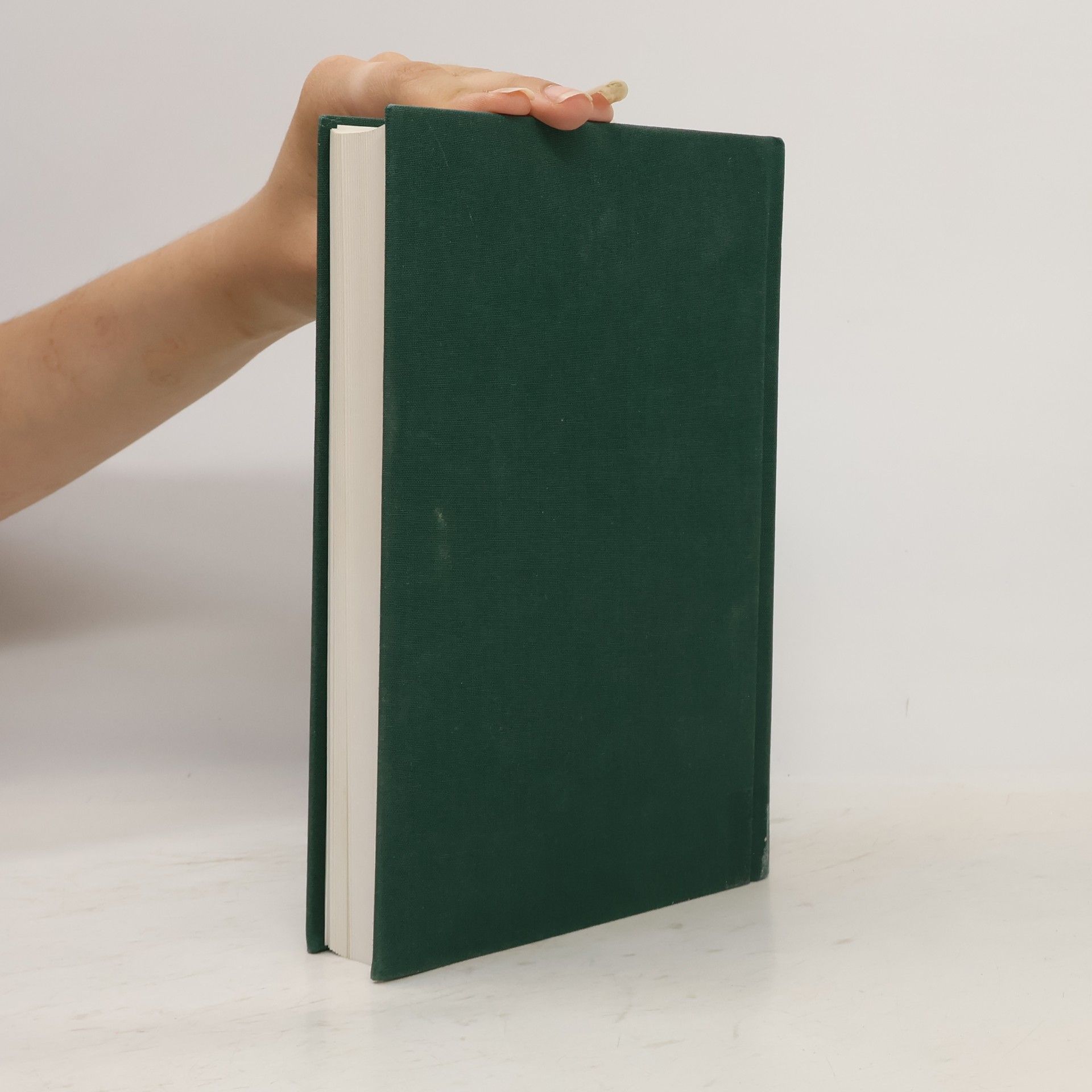 Dietmar Fink Management consulting fieldbook