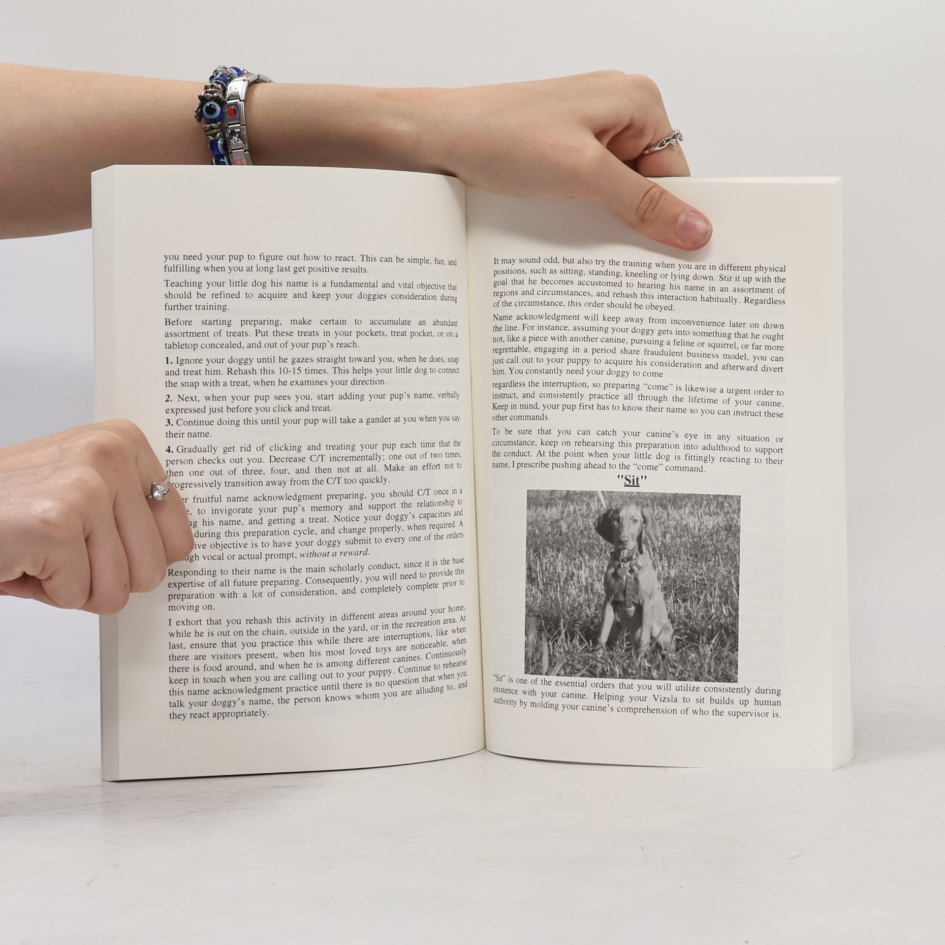 Autores varios The Vizsla Training Bible