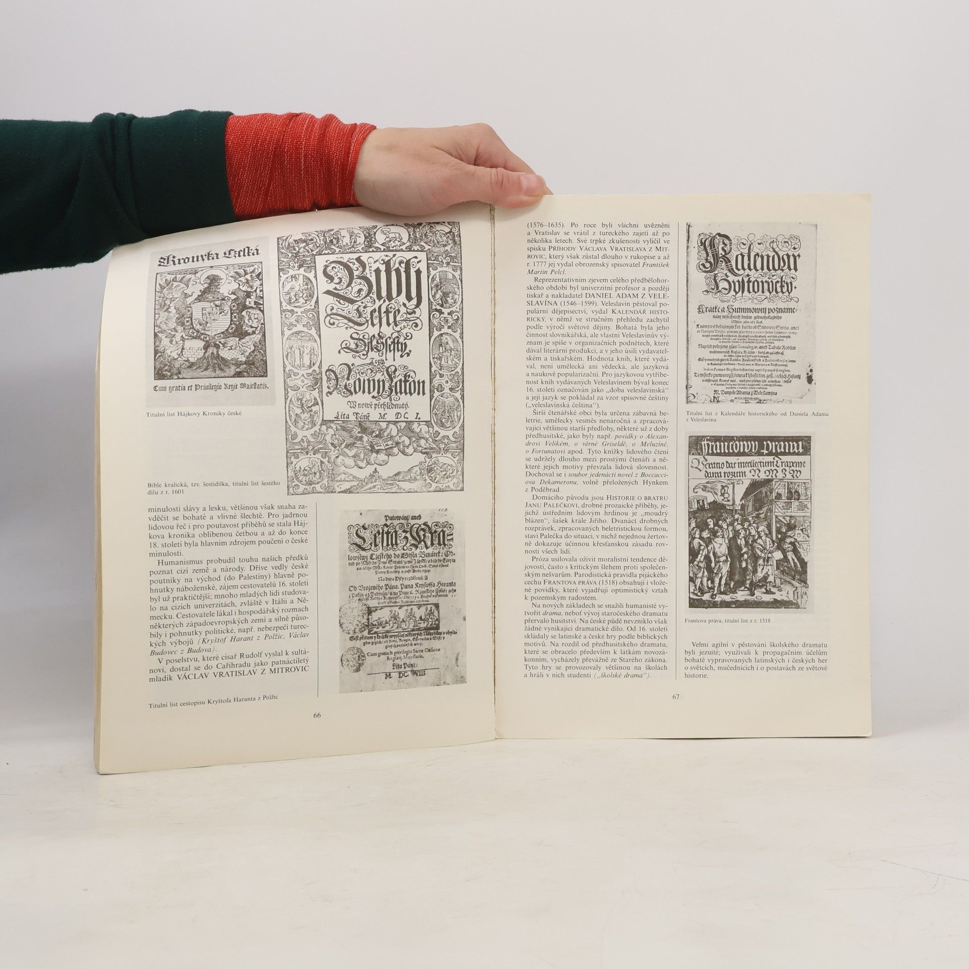 Bohumil Balajka Přehledné dějiny literatury I. do devadesátých let 19. století