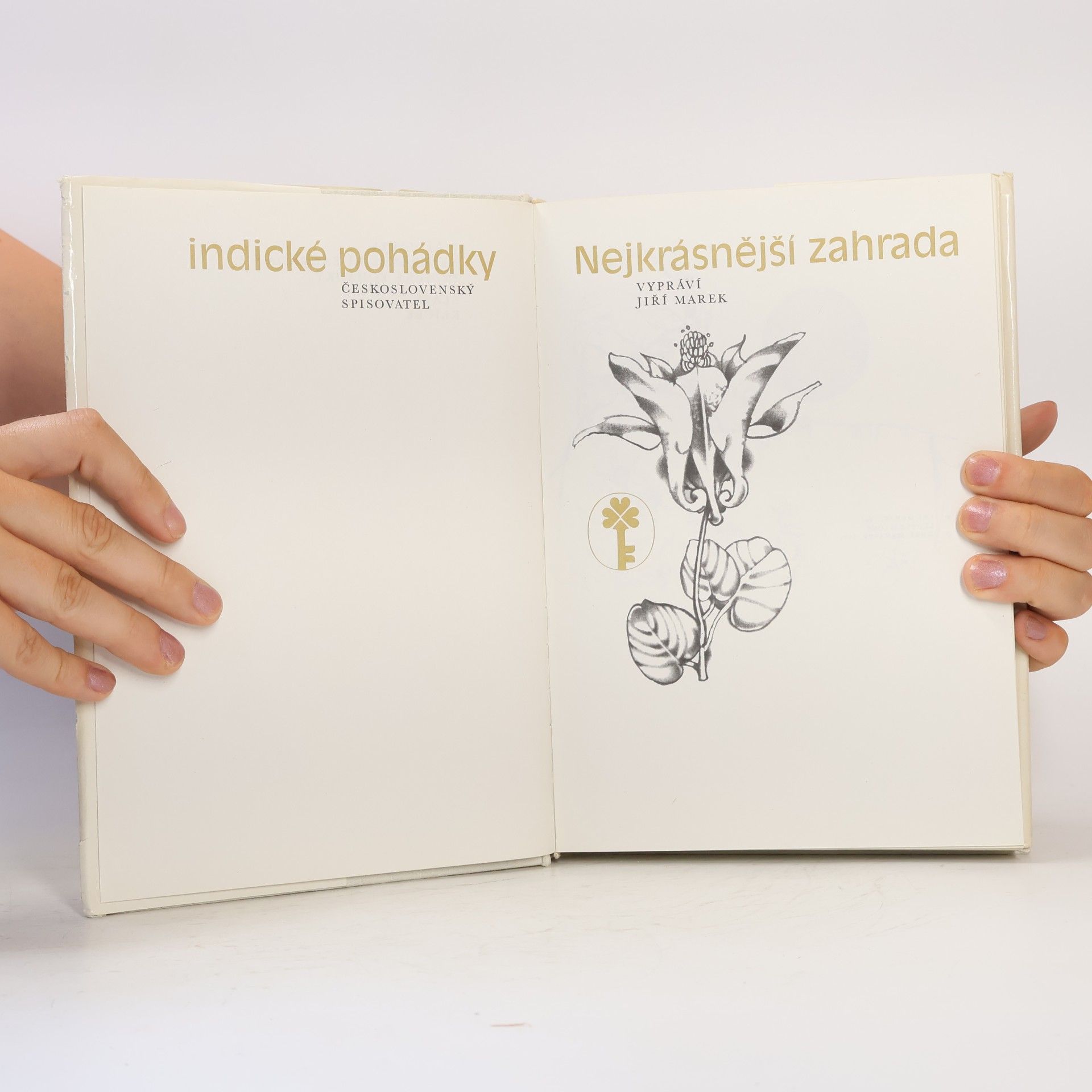 Jiří Marek Nejkrásnější zahrada. Indické pohádky