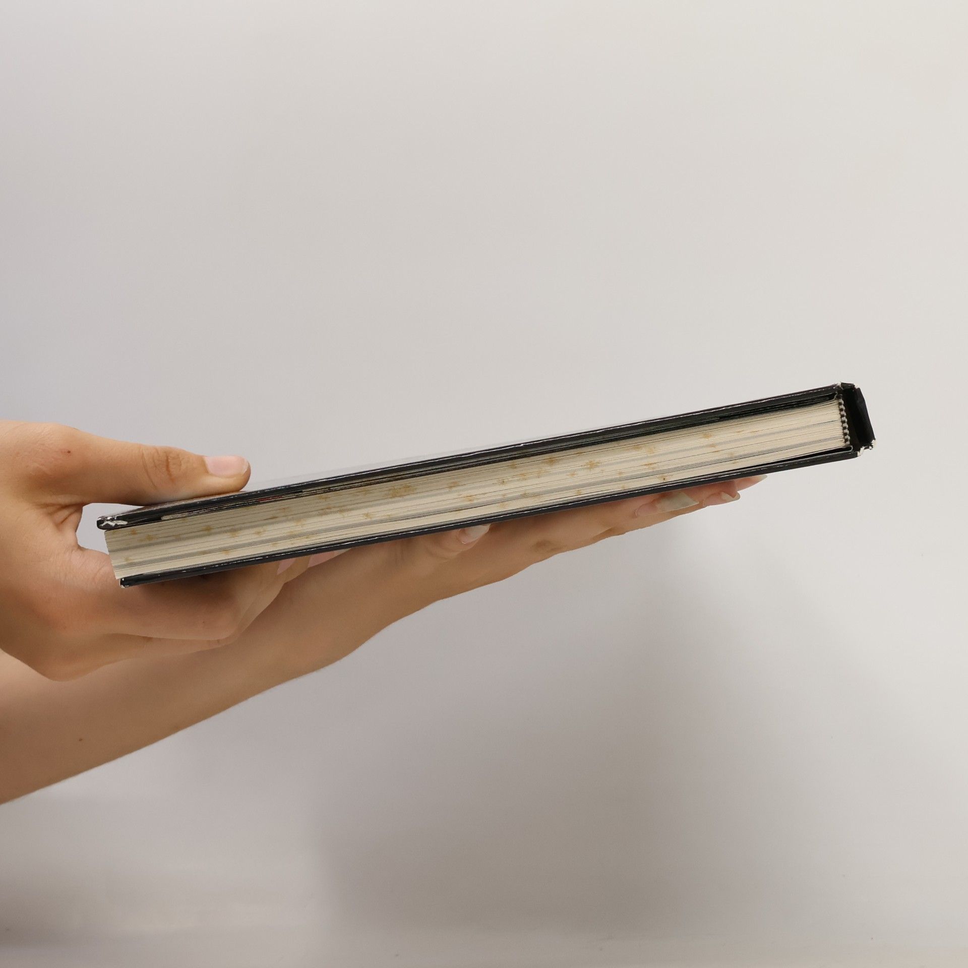 Auteurscollectief Gewalt und Aggression