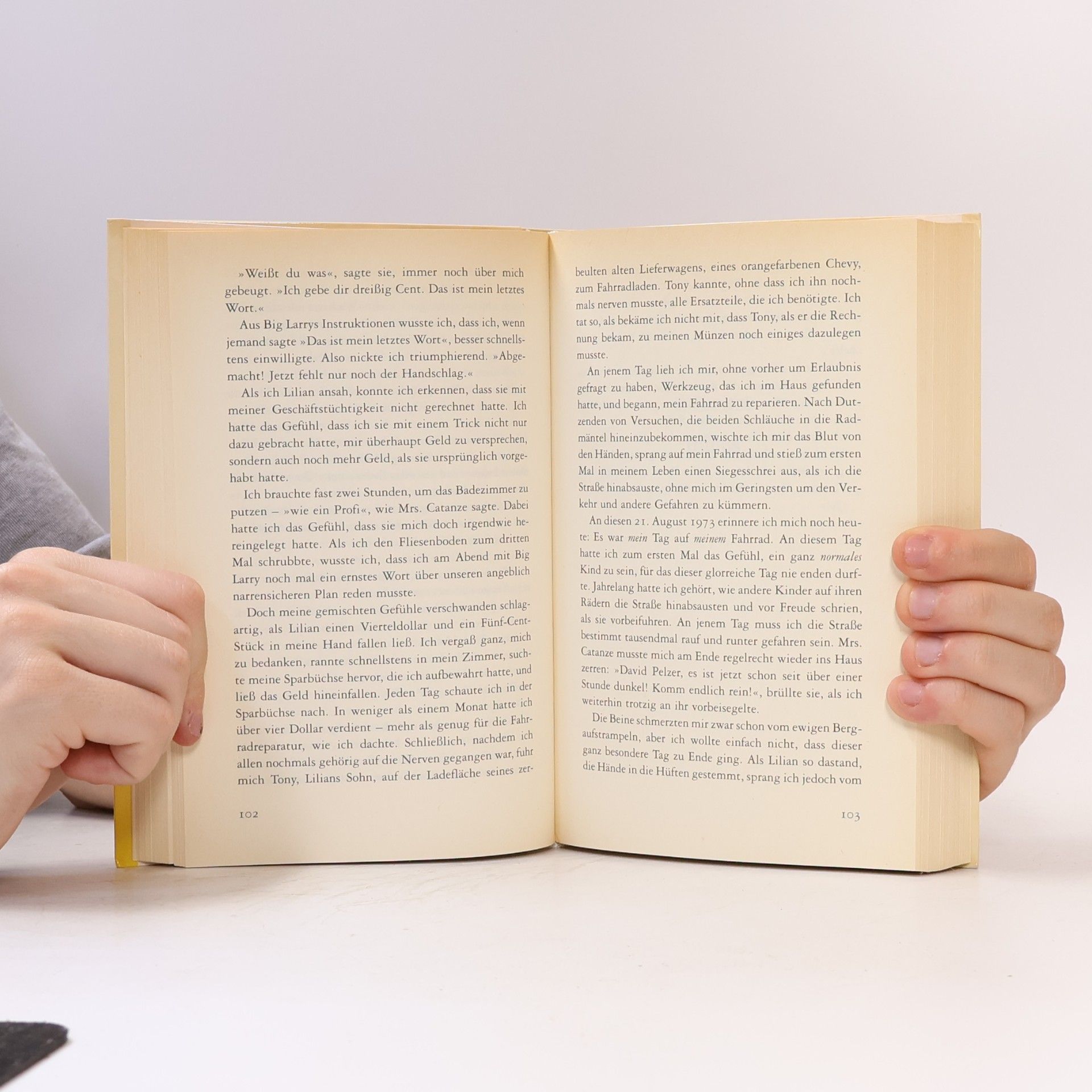 Dave Pelzer Der verloene Sohn