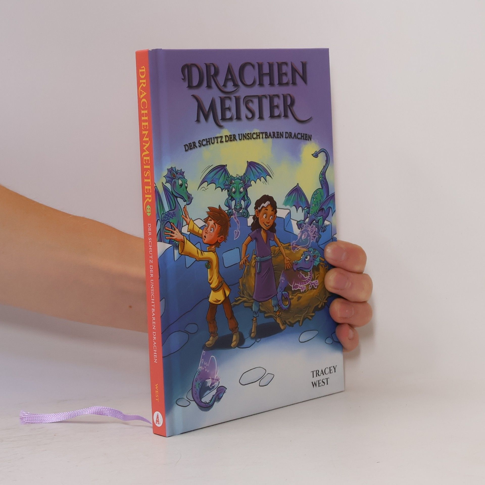 Tracey West Drachenmeister 22: Der Schutz der unsichtbaren Drachen