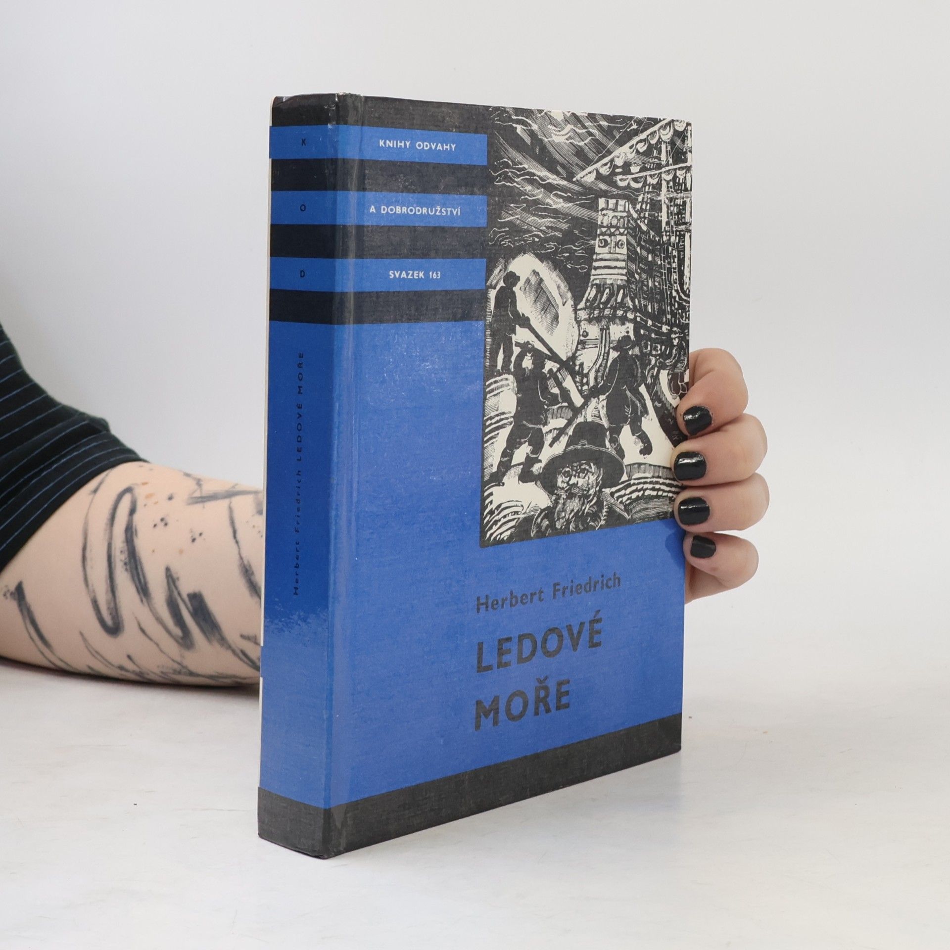 Ledové moře