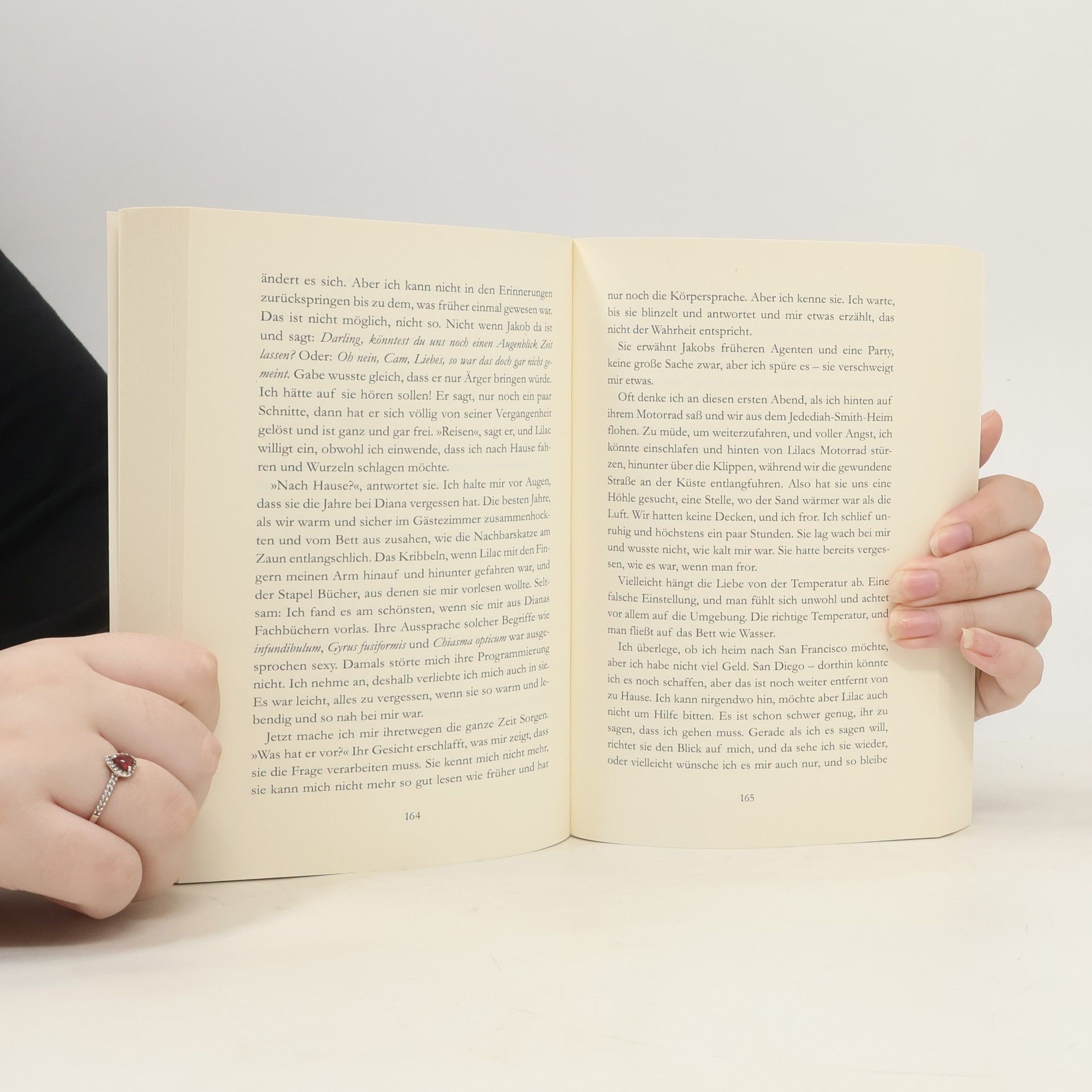 Katie M. Flynn Companions – der letzte Morgen