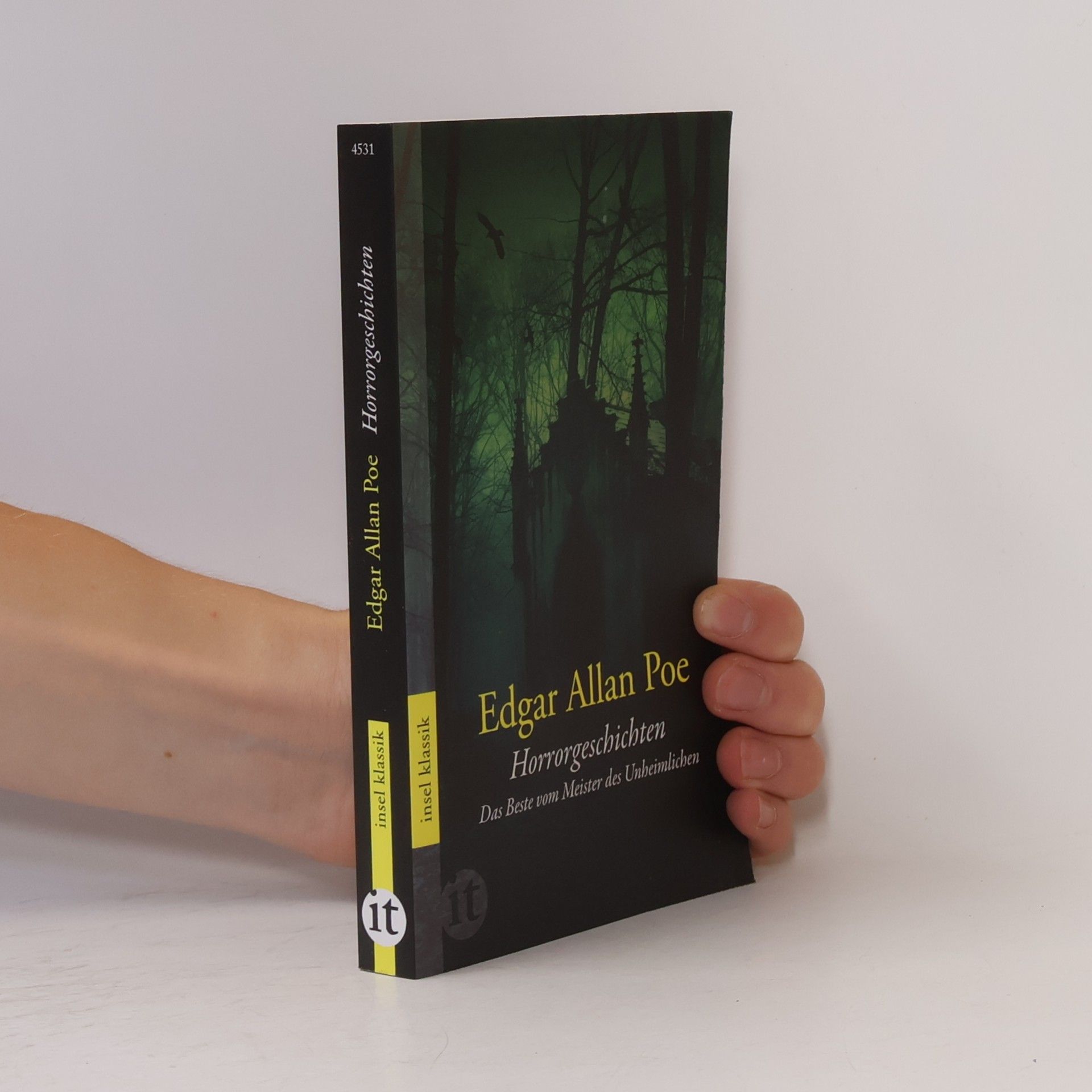 Edgar Allan Poe Horrorgeschichten