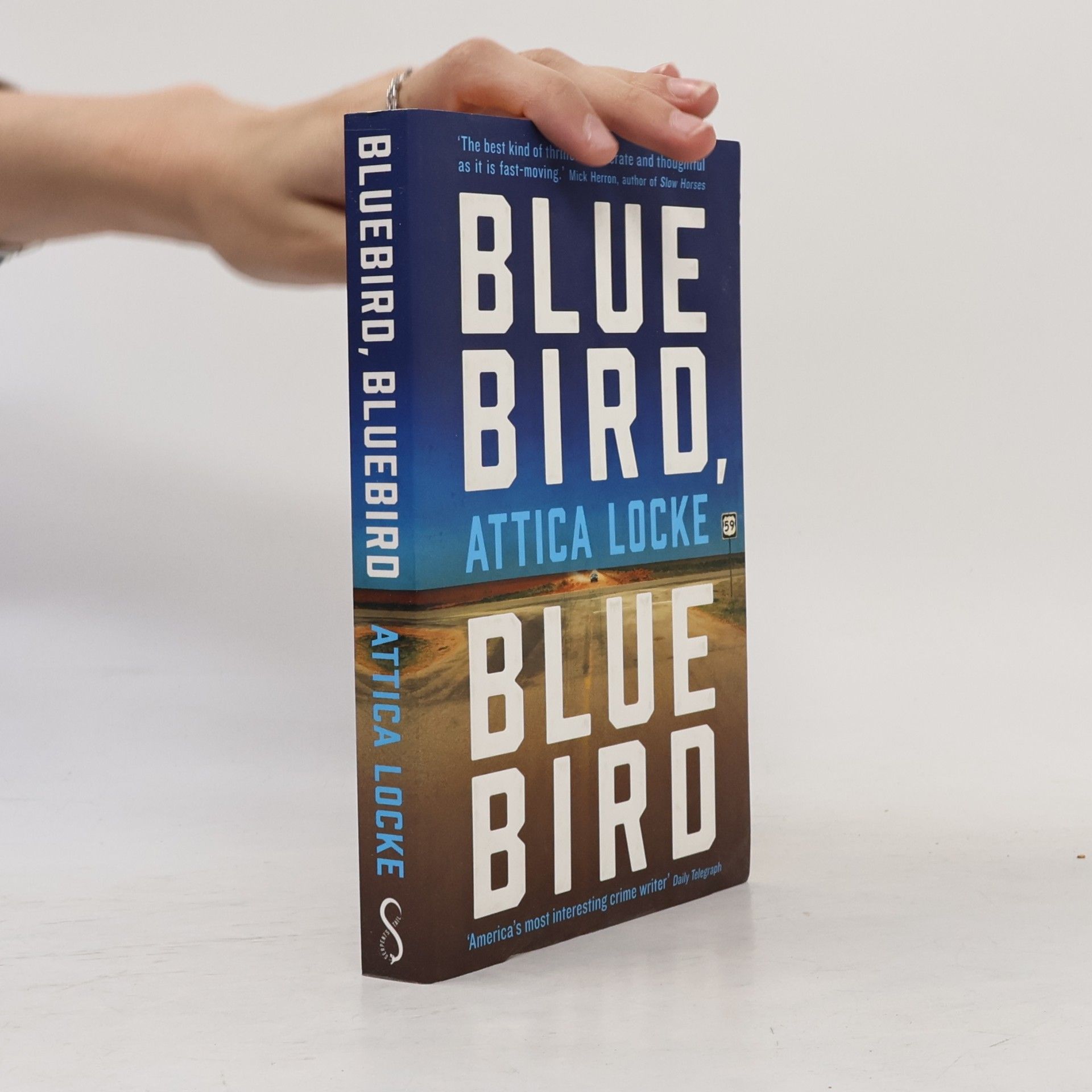 Attica Locke Bluebird, Bluebird