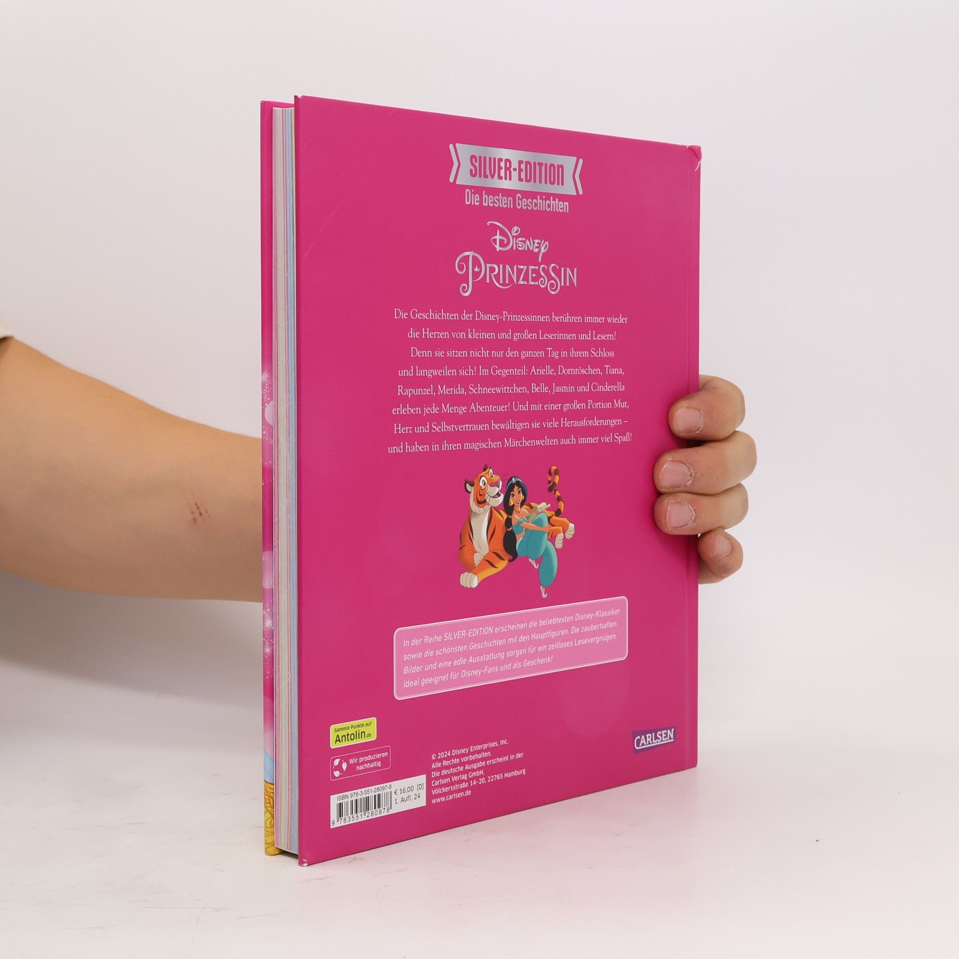 Walt Disney Das große Buch mit den besten Geschichten - Disney Prinzessinnen / Disney Silver-Edition Bd.3