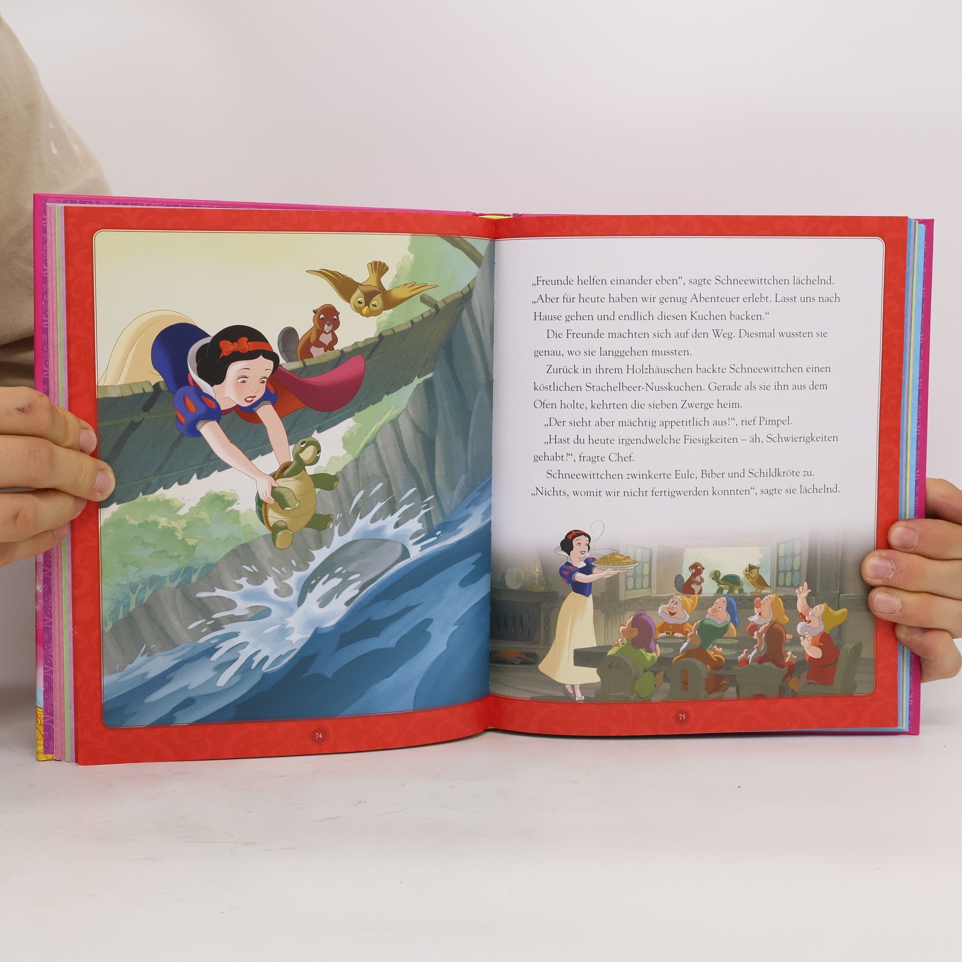 Walt Disney Das große Buch mit den besten Geschichten - Disney Prinzessinnen / Disney Silver-Edition Bd.3