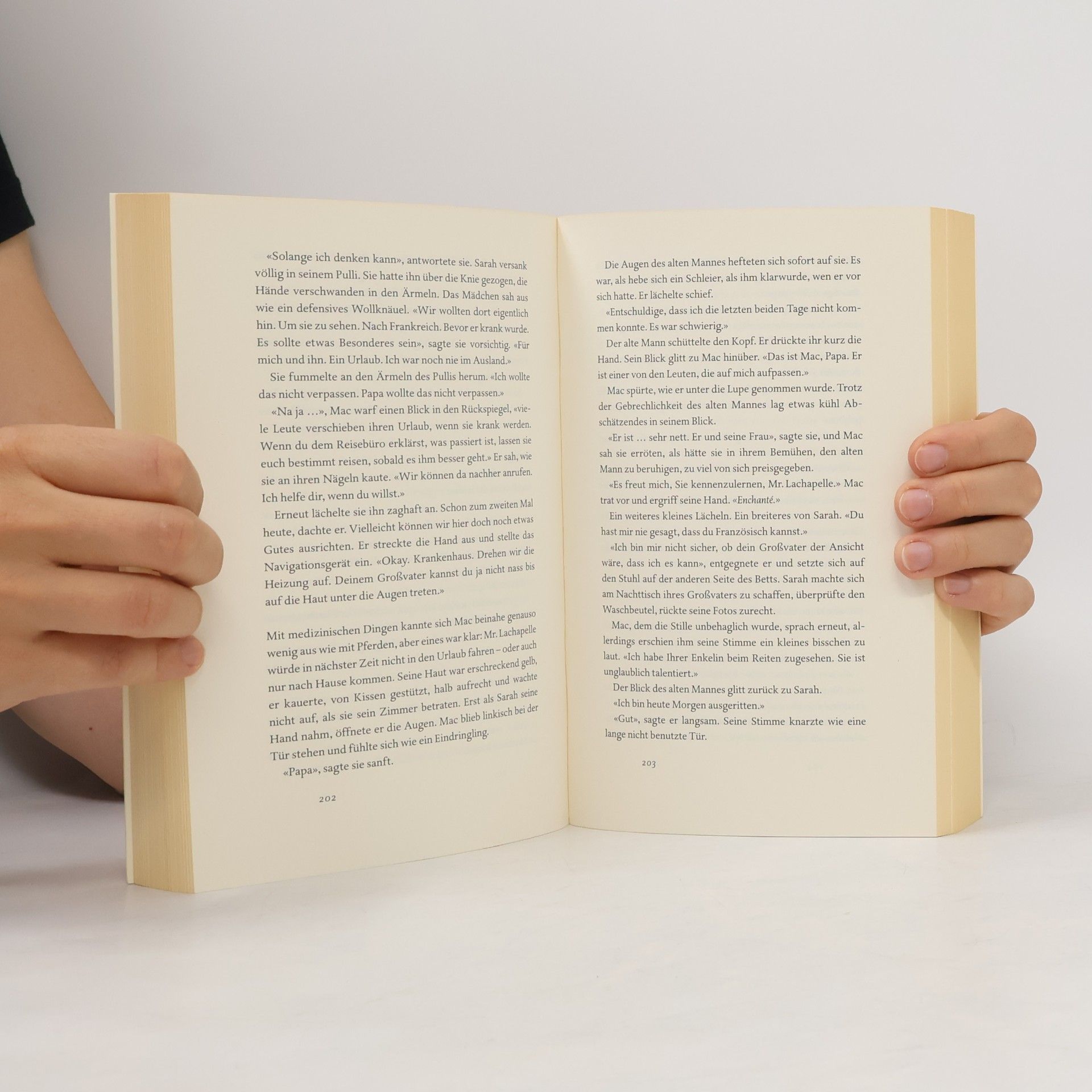 Jojo Moyes Im Schatten das Licht