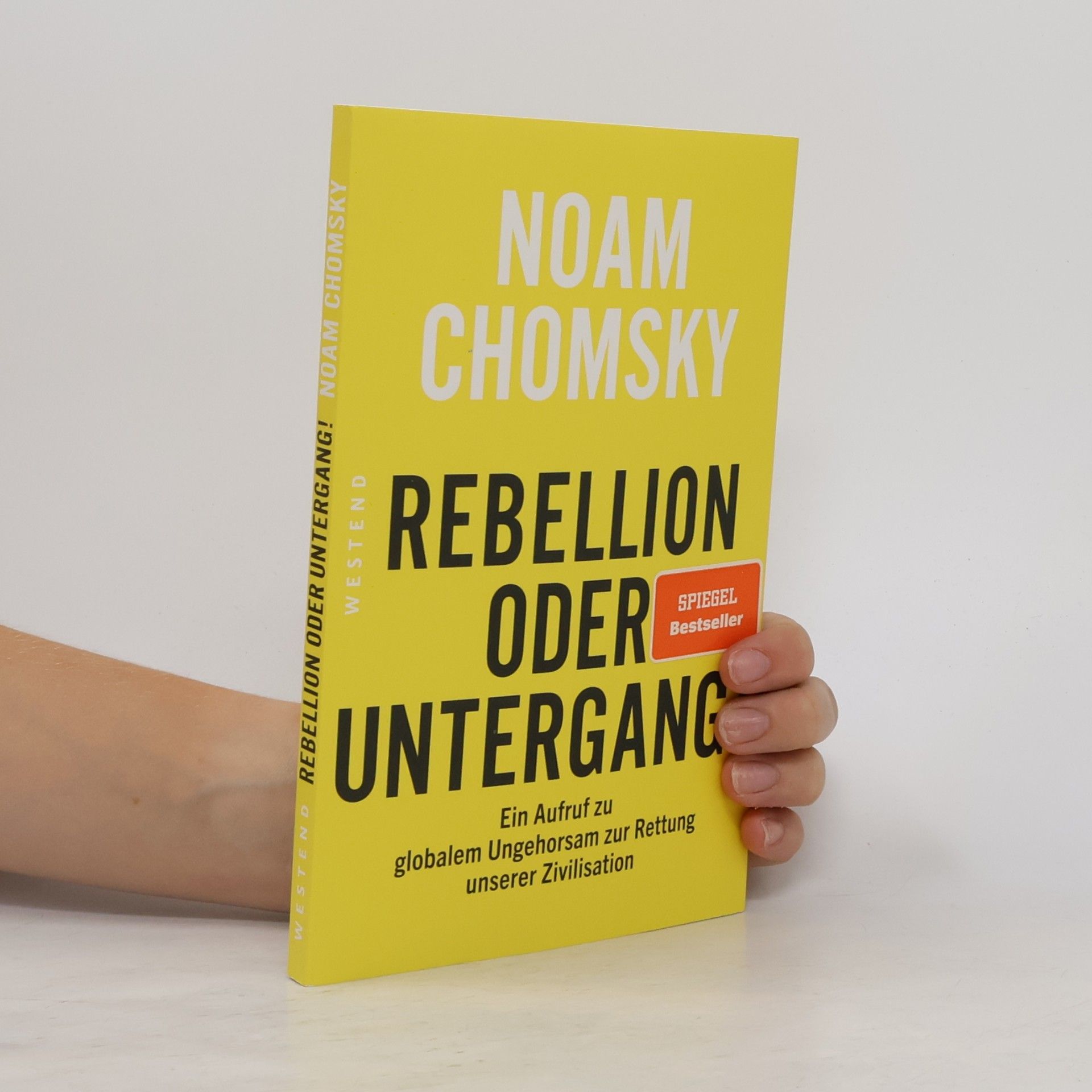 Noam Chomsky Rebellion oder Untergang!