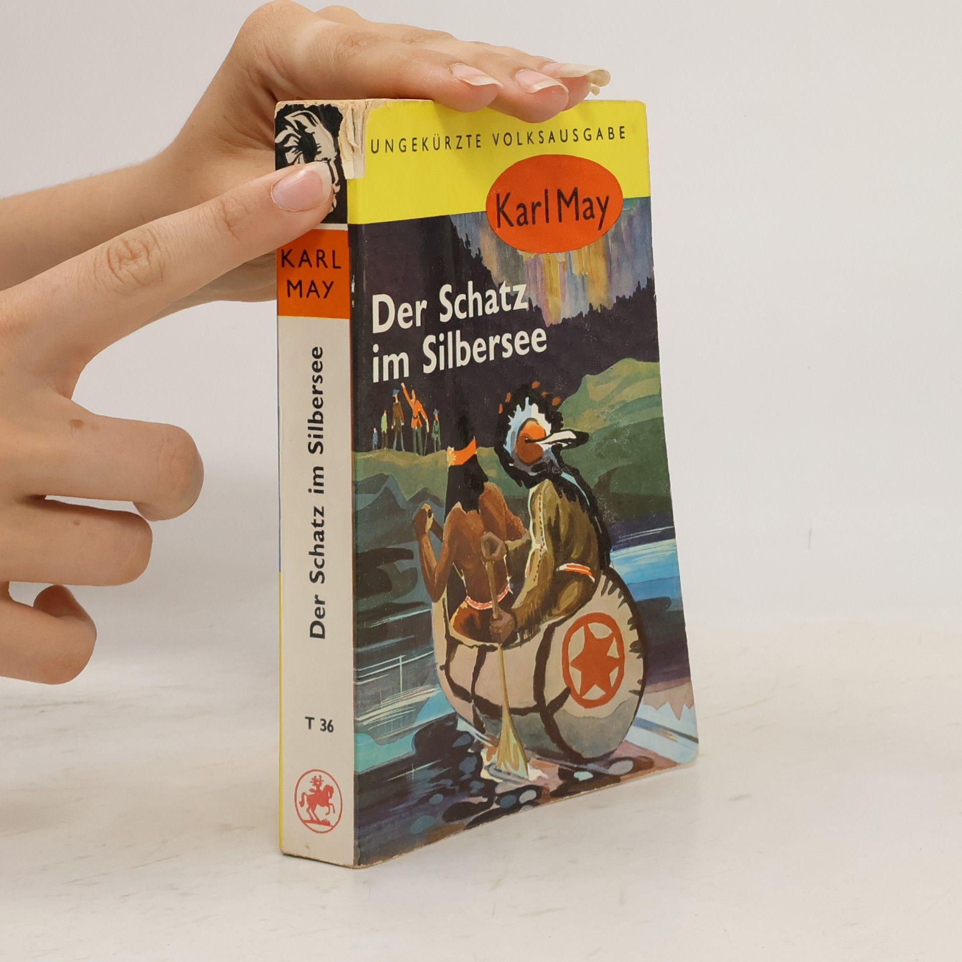 Karl May Der Schatz im Silbersee