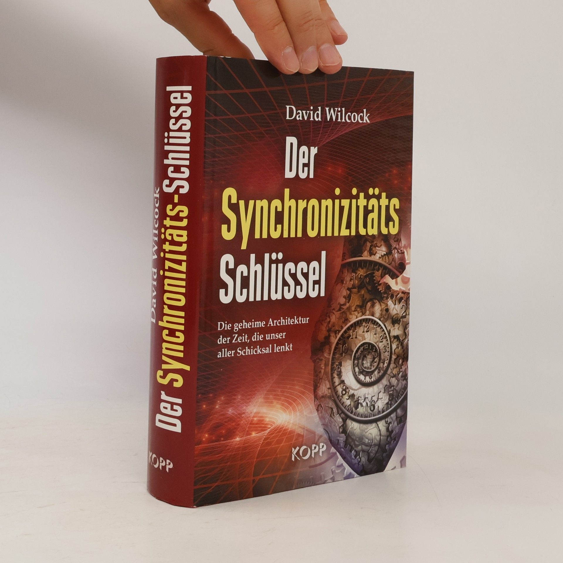 David Wilcock Der Synchronizitäts-Schlüssel