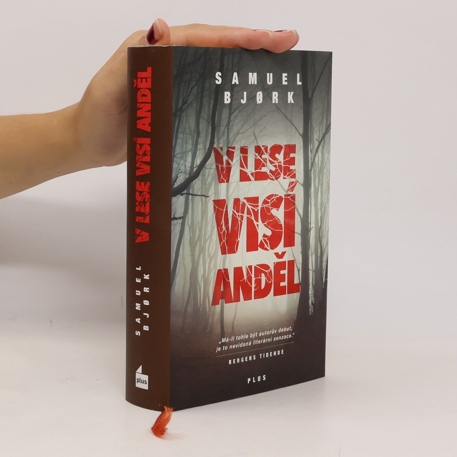 Samuel Bjork V lese visí anděl
