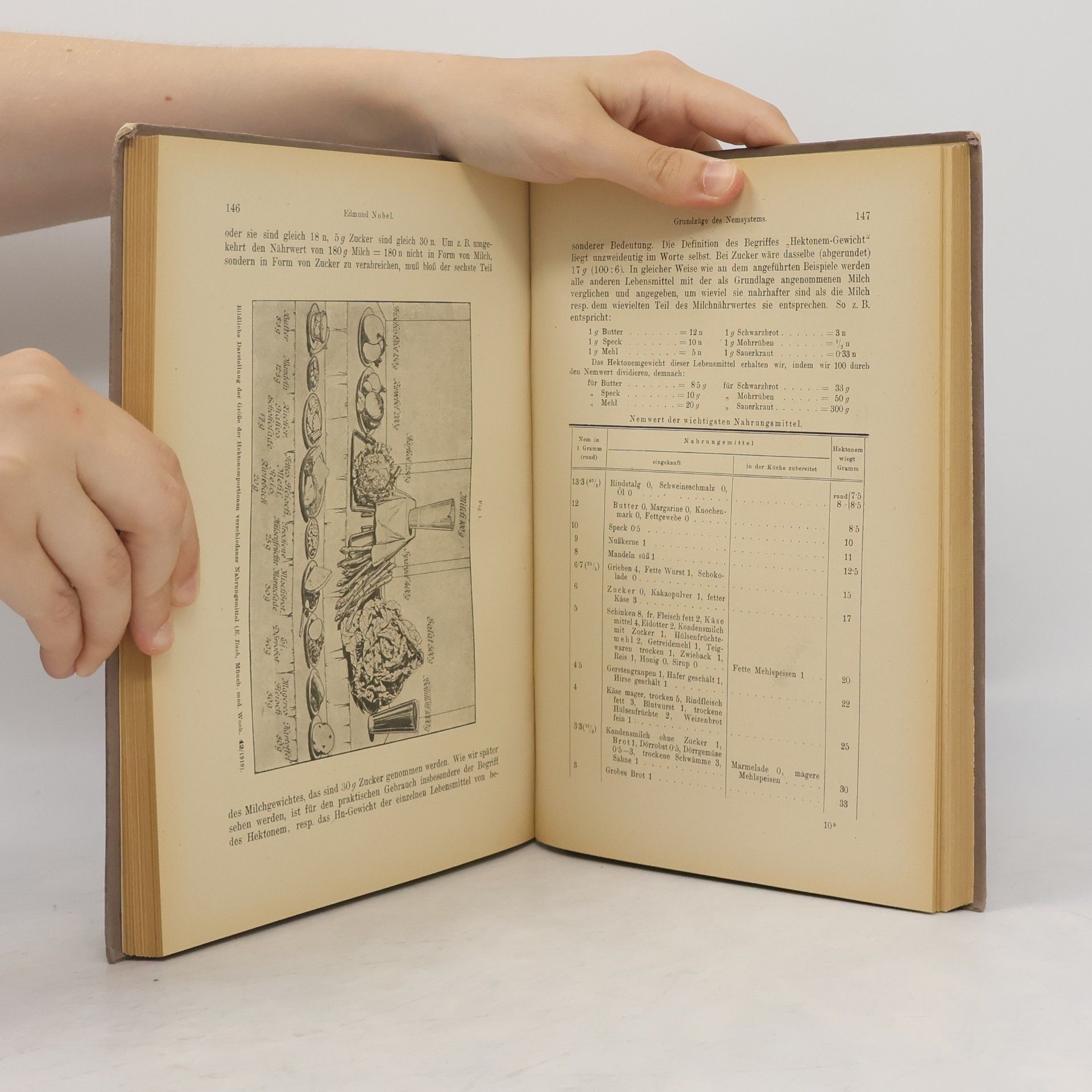 Mayrhofer Ernst Lehrbuch der Volksernährung nach dem Pirquet'schen System