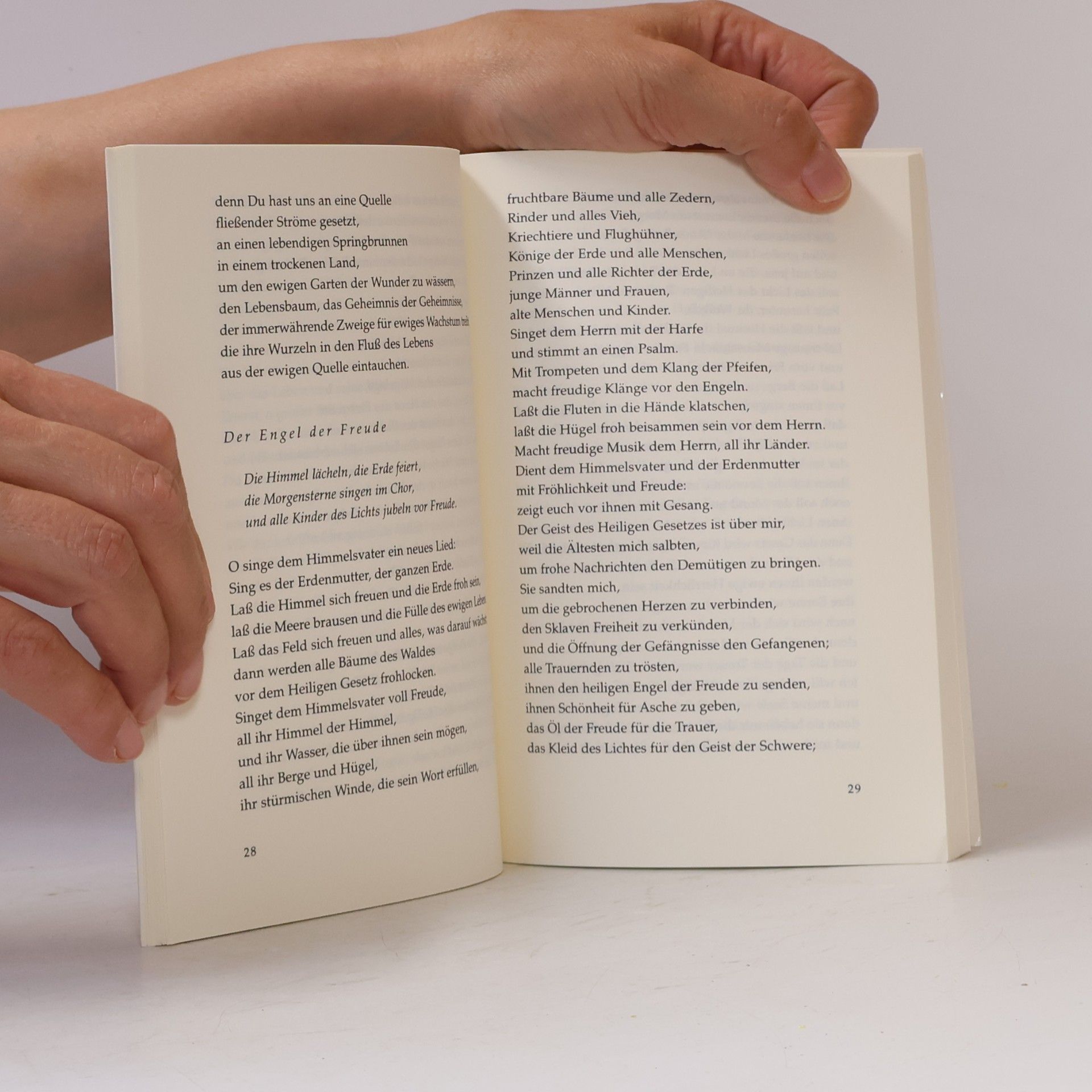 Edmund Bordeaux Szekely Die verlorenen Schriftrollen der Essener