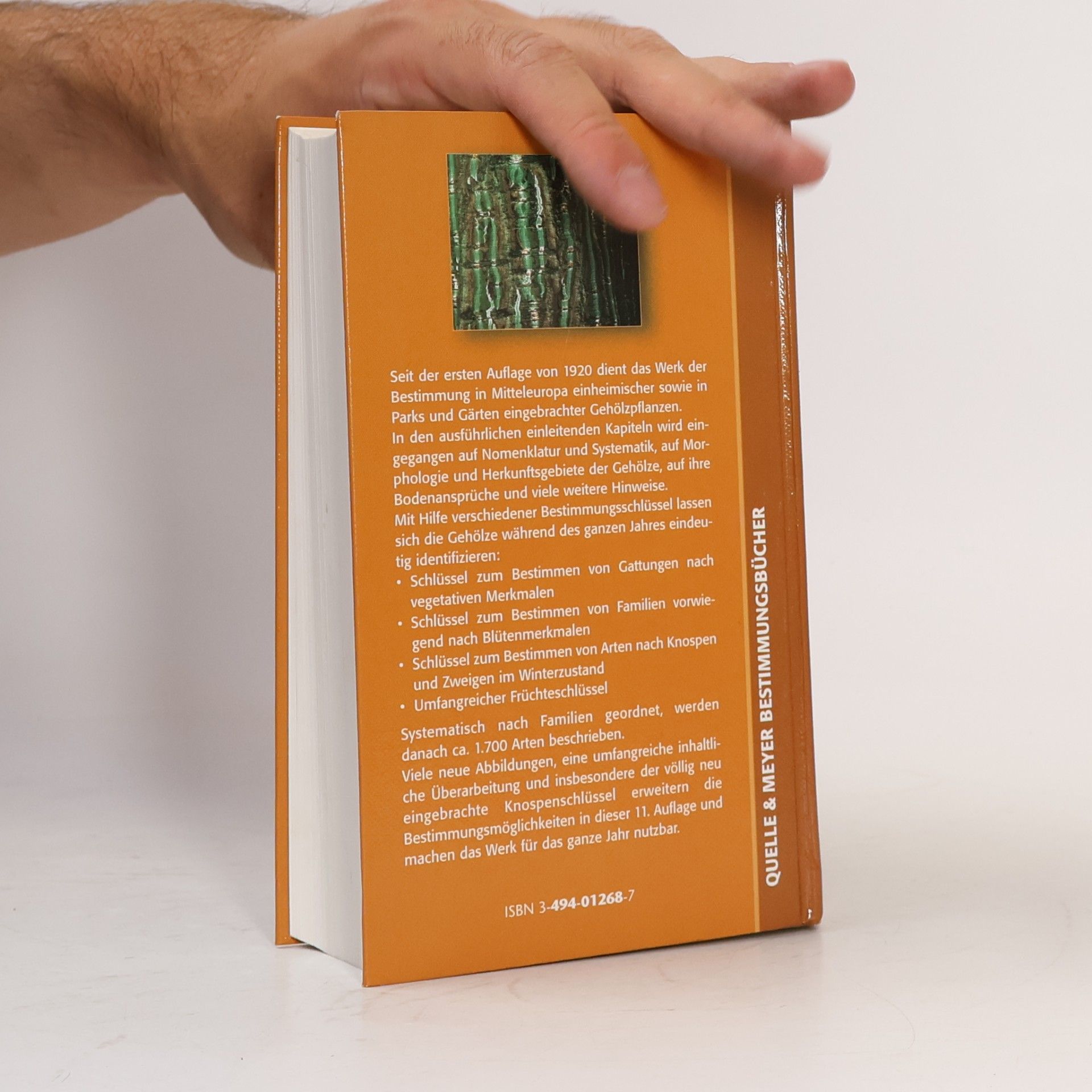 Jost Fitschen Gehölzflora