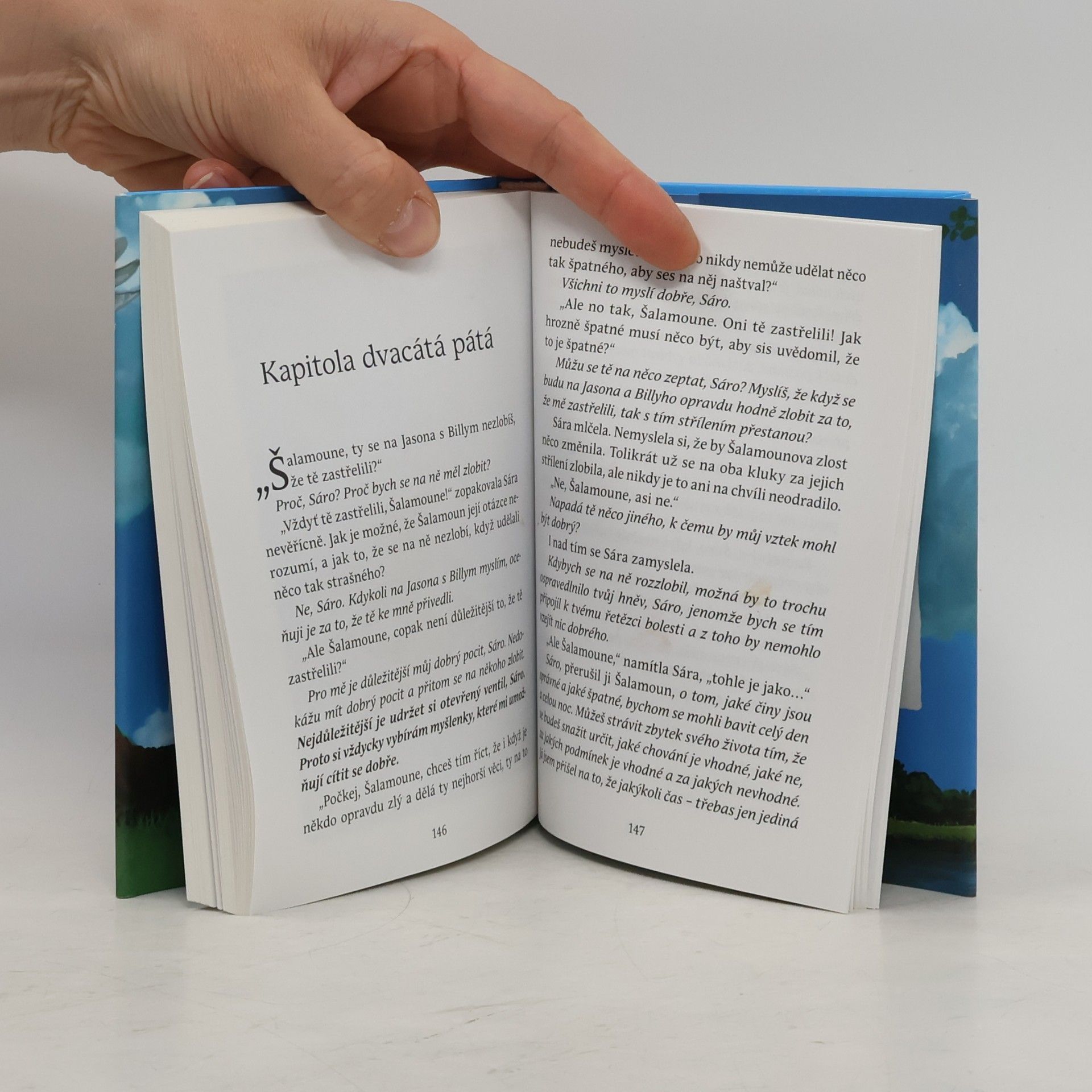 Esther Hicks Sára. Kniha první, O věčném přátelství dvou blízkých duší