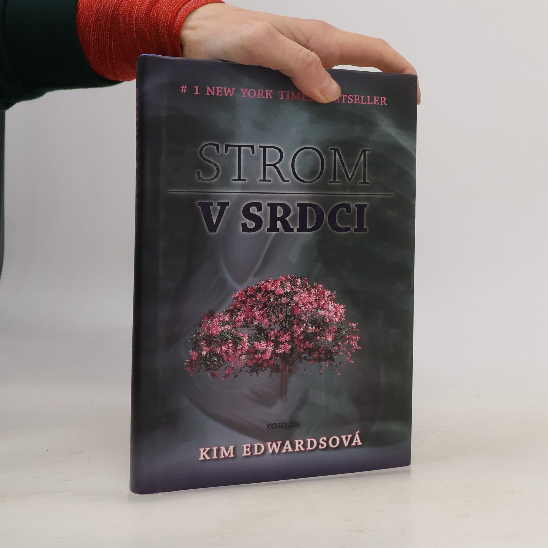 Kim Edwards Strom v srdci
