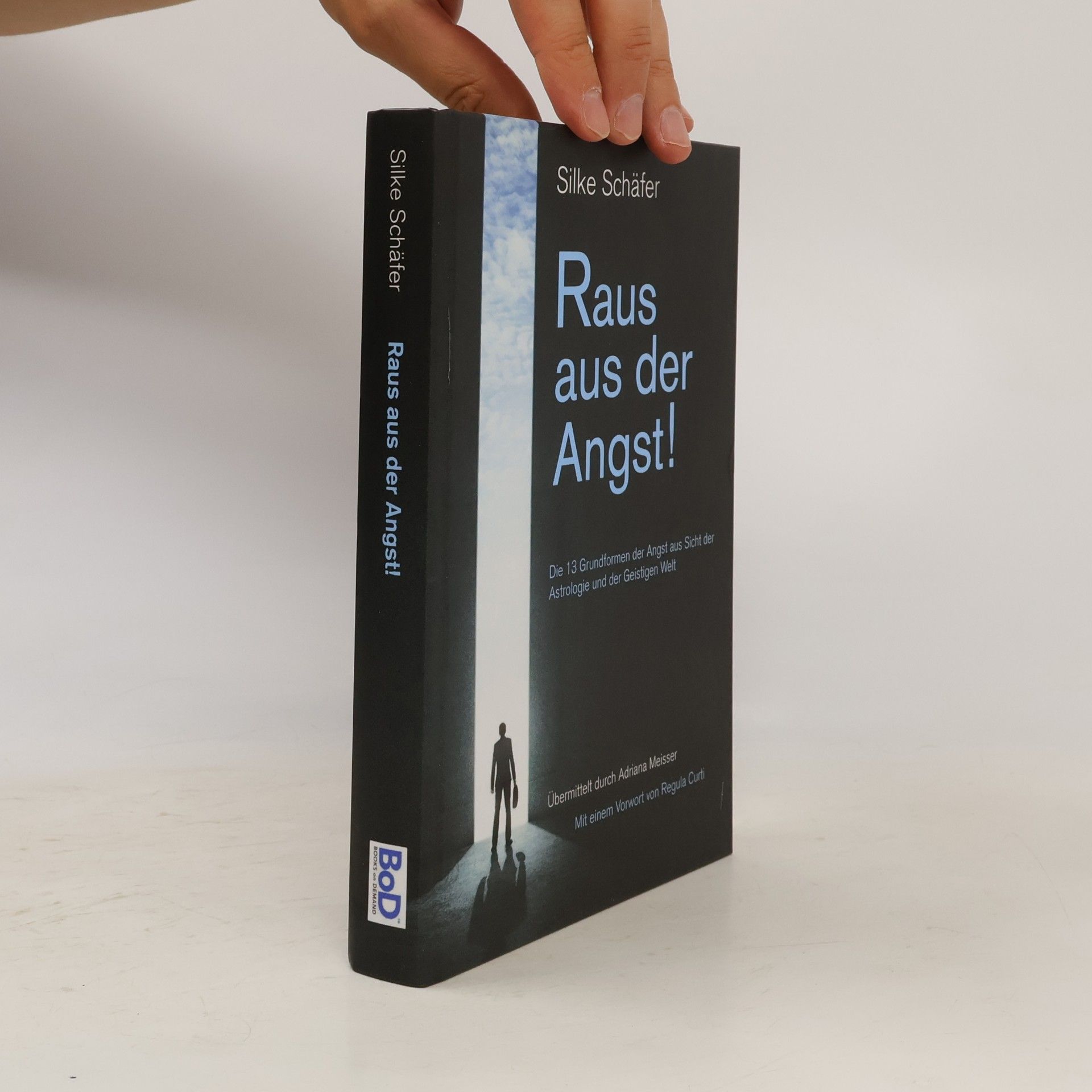 Silke Schäfer Raus aus der Angst!