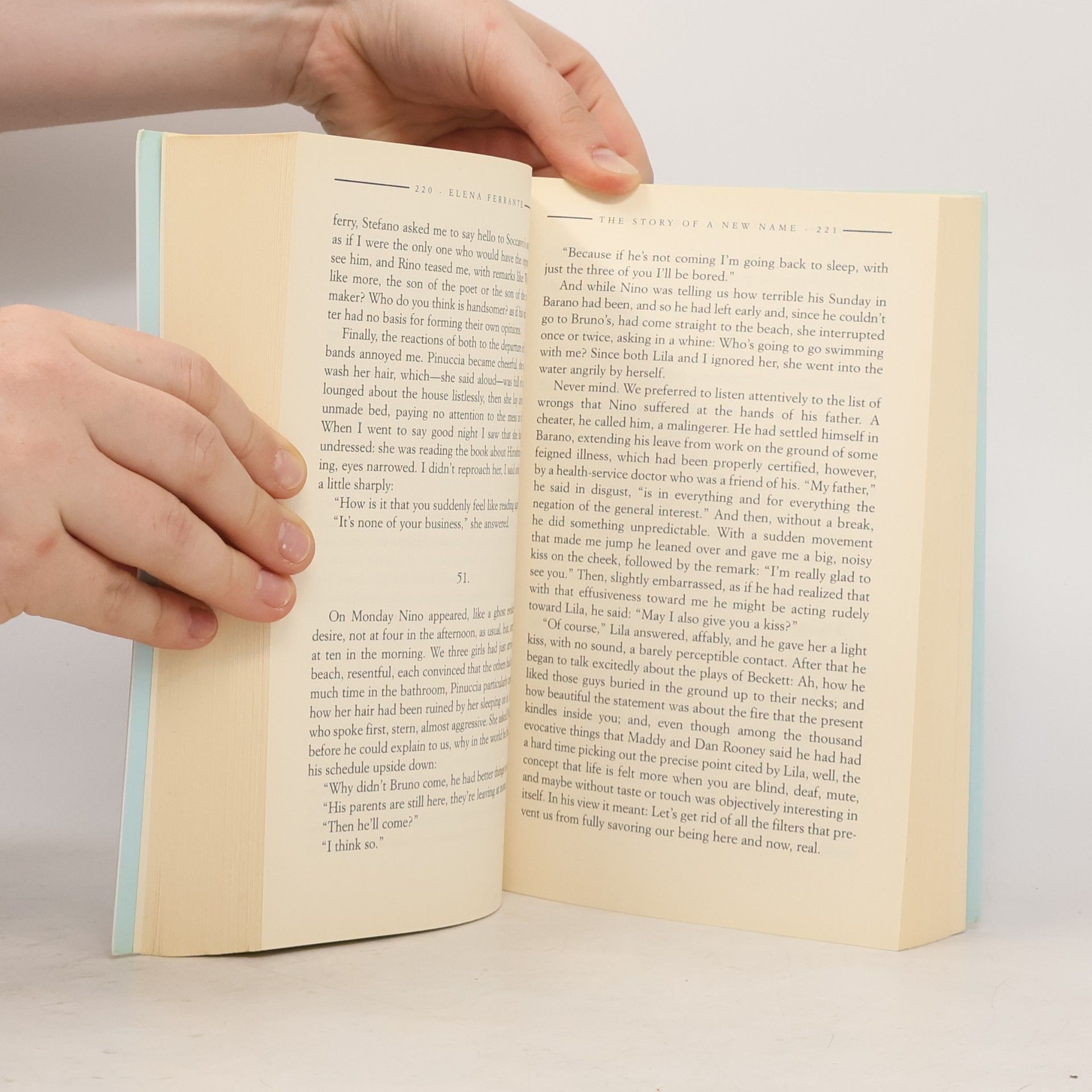 Elena Ferrante The Story of a New Name
