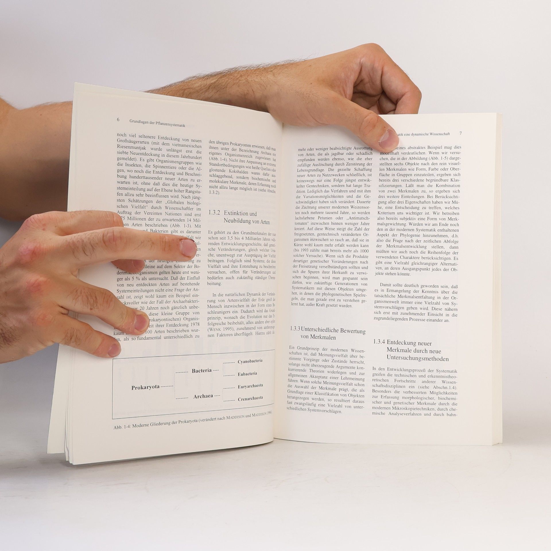 Otmar Spring UTB L (Large-Format): Uni-Taschenbücher: Grundlagen und Methoden der Pflanzensystematik