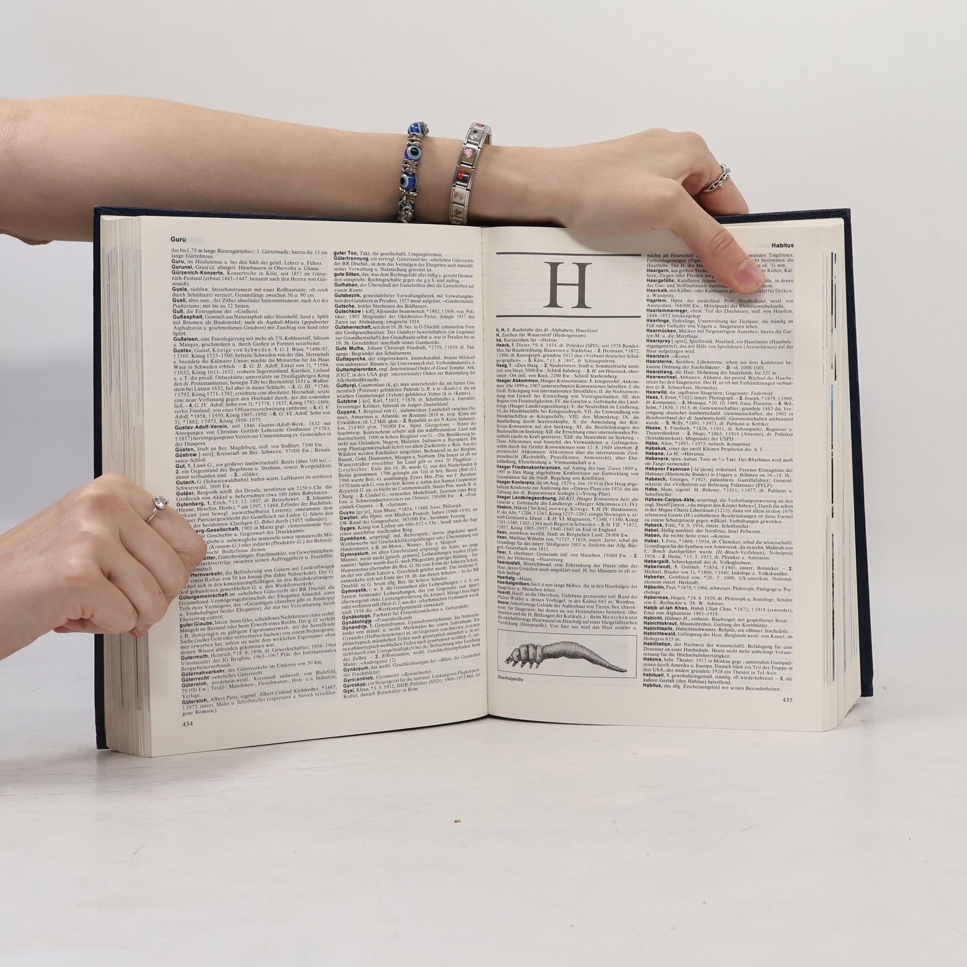 Various authors Grosses Hand Lexikon in Farbe