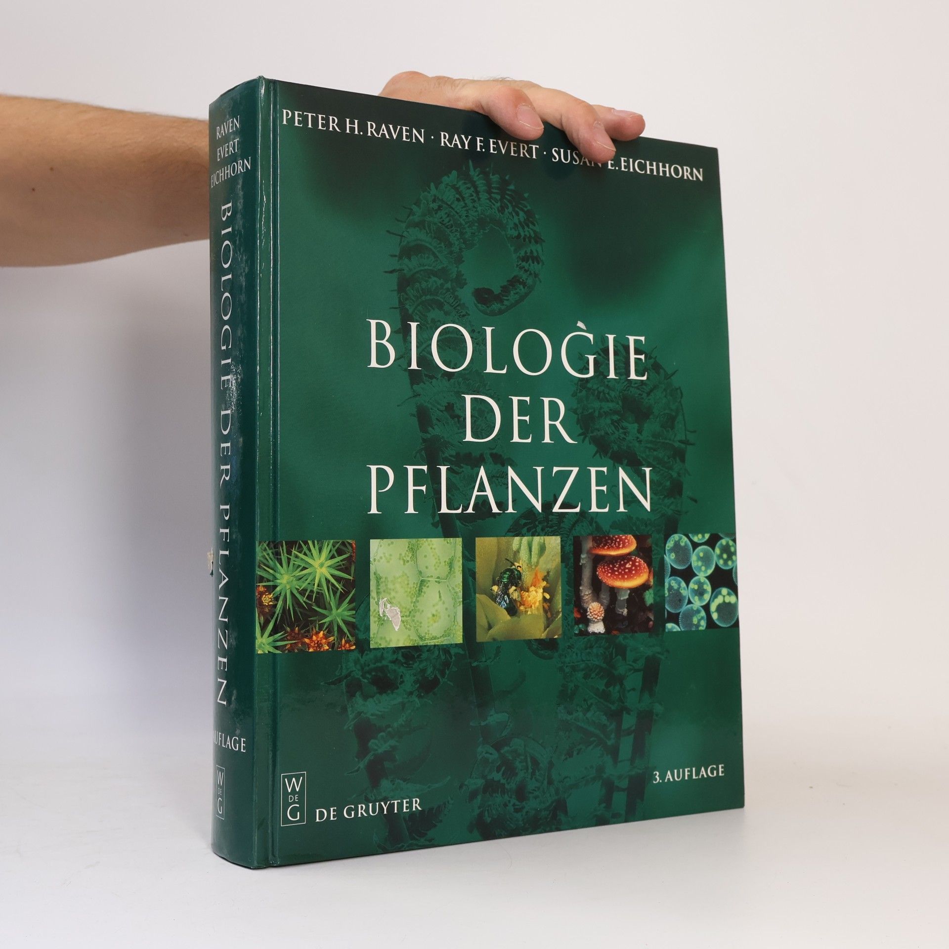 Peter H. Raven Biologie der Pflanzen