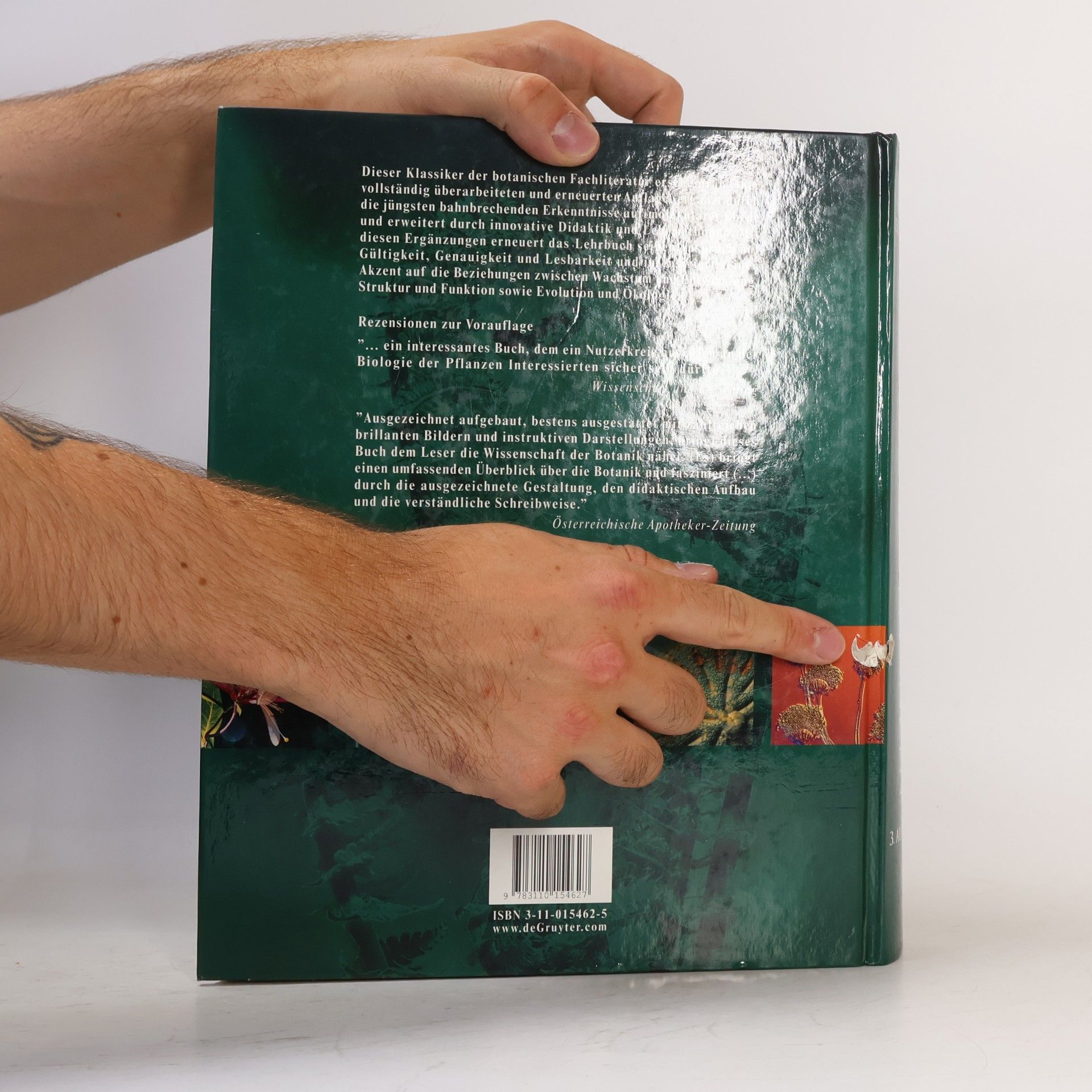 Peter H. Raven Biologie der Pflanzen