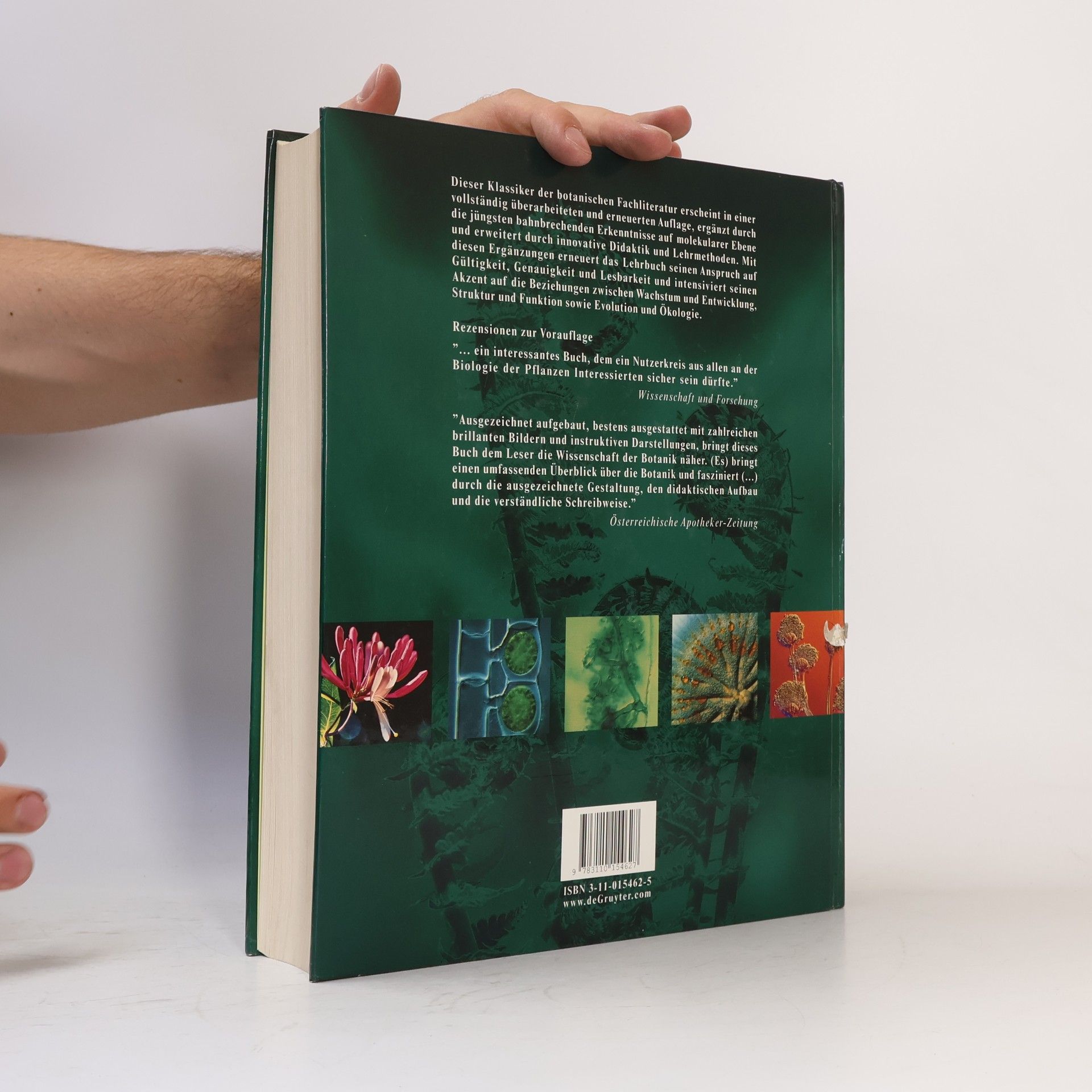 Peter H. Raven Biologie der Pflanzen