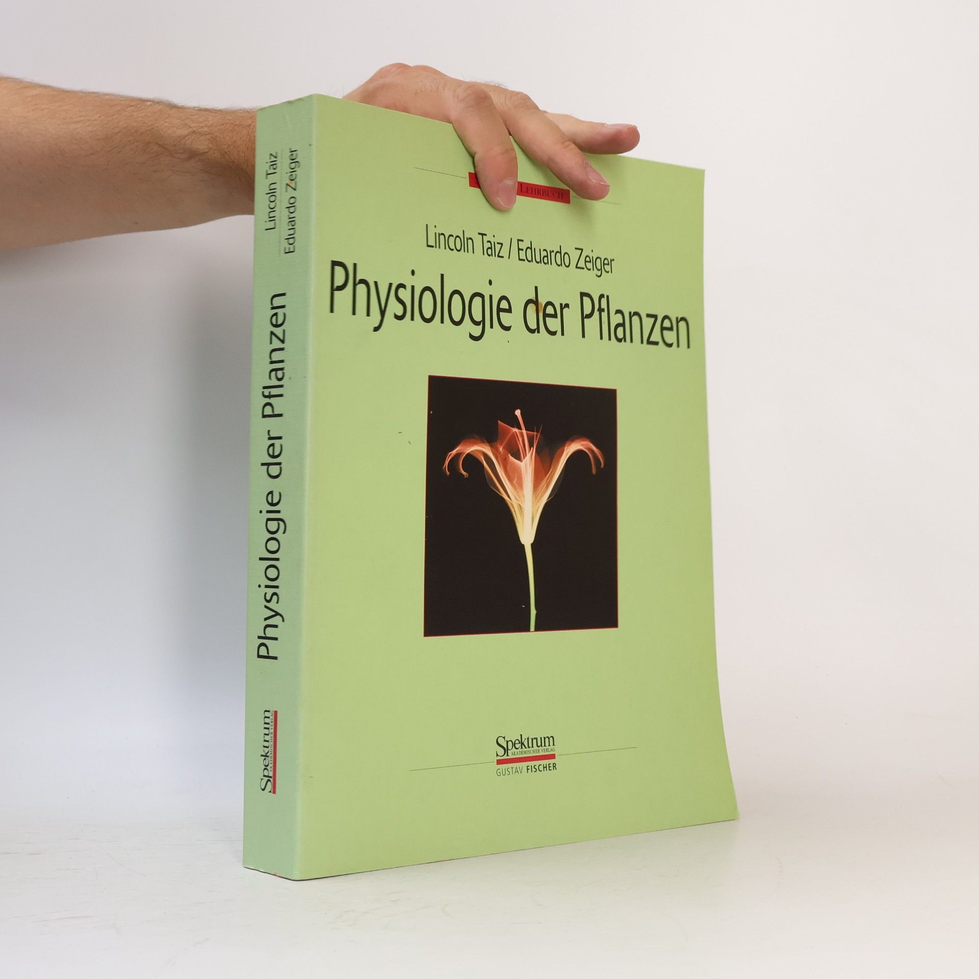 Lincoln Taiz Physiologie der Pflanzen
