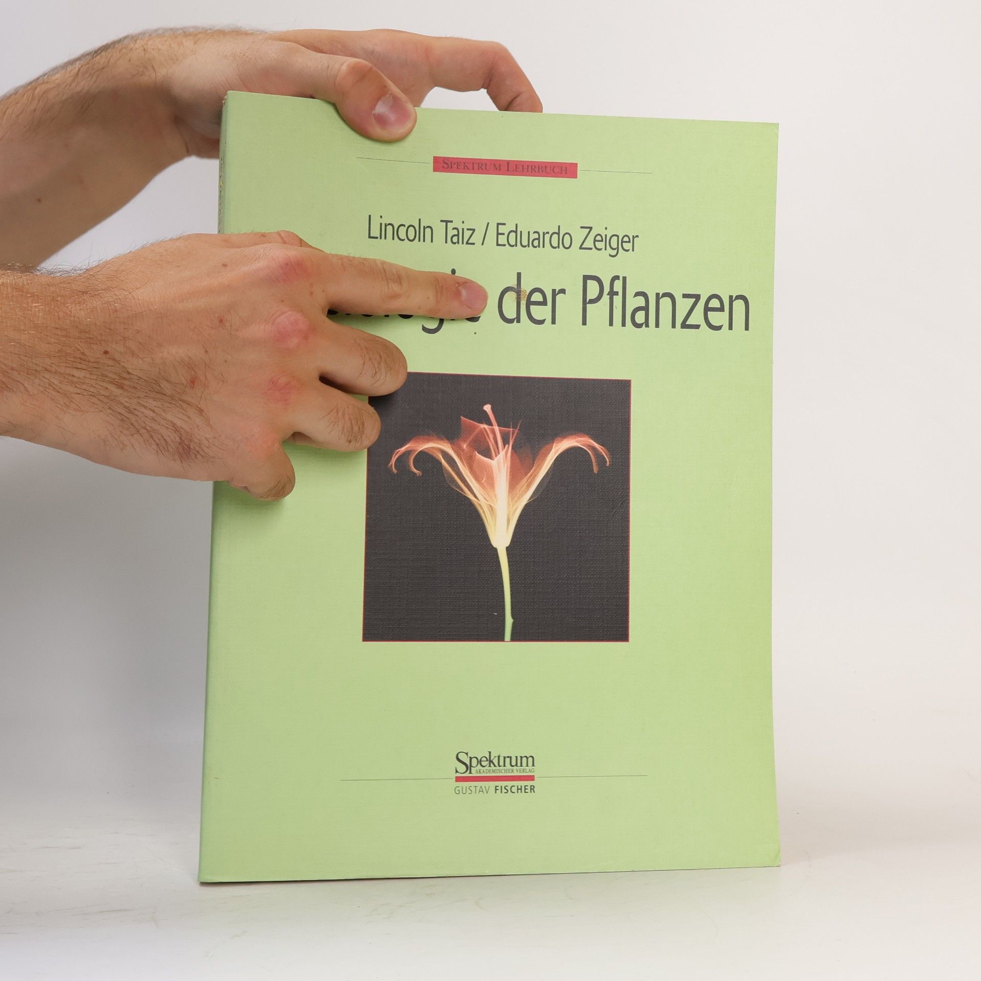 Lincoln Taiz Physiologie der Pflanzen