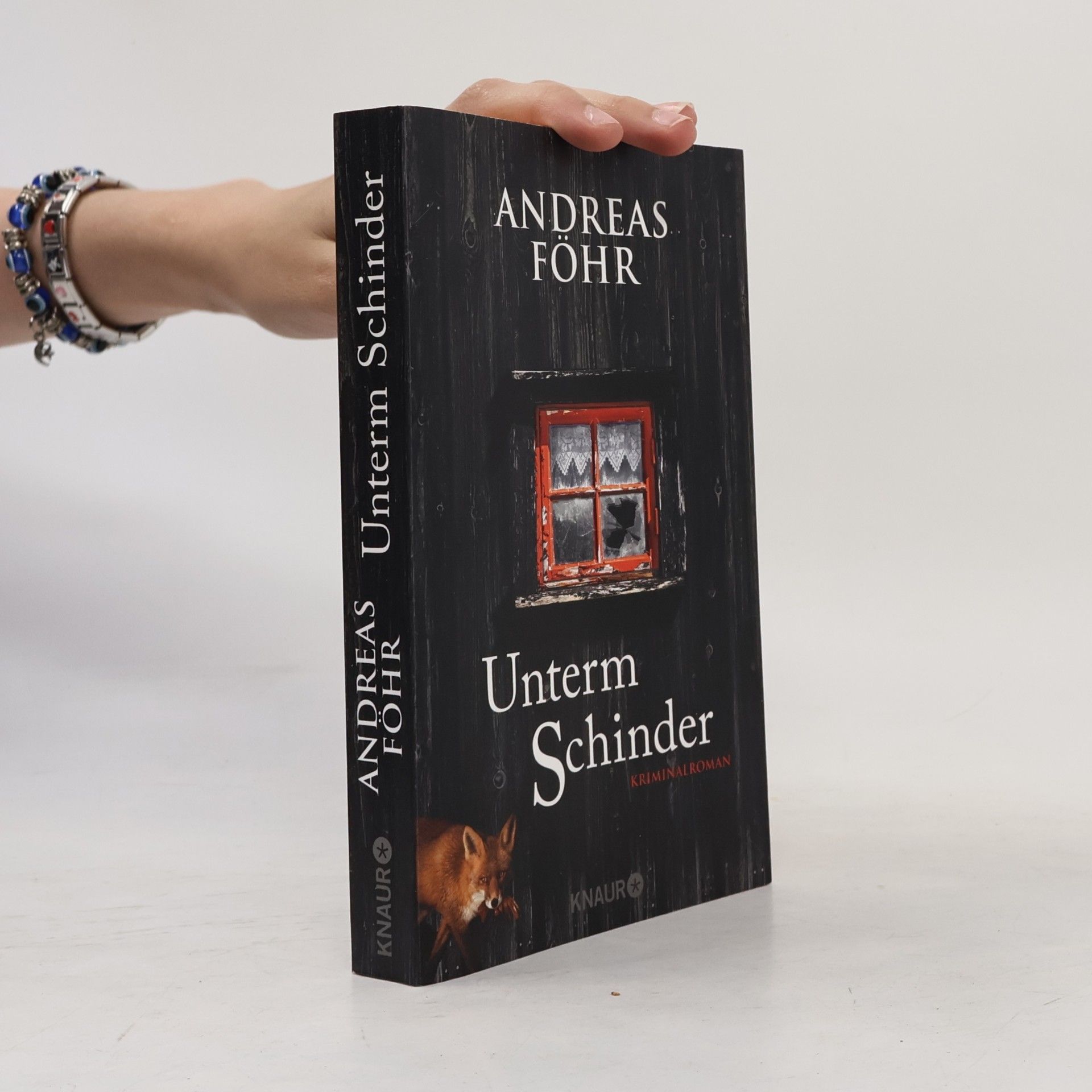 Andreas Föhr Unterm Schinder