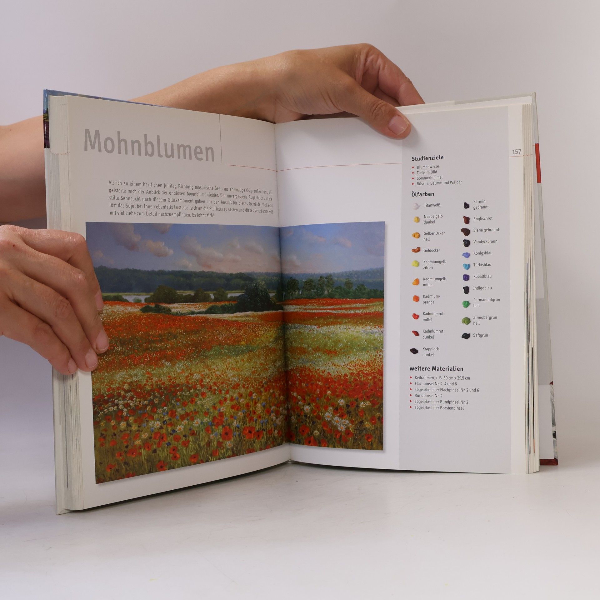 Herdin Das Licht dirigieren - Ölmalerei Landschaften - Aufbaukurs