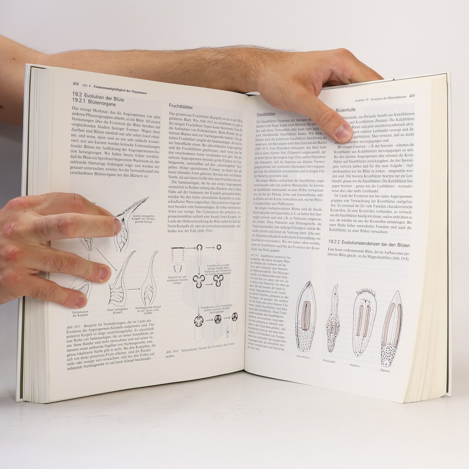 Peter H. Raven Biologie der Pflanzen